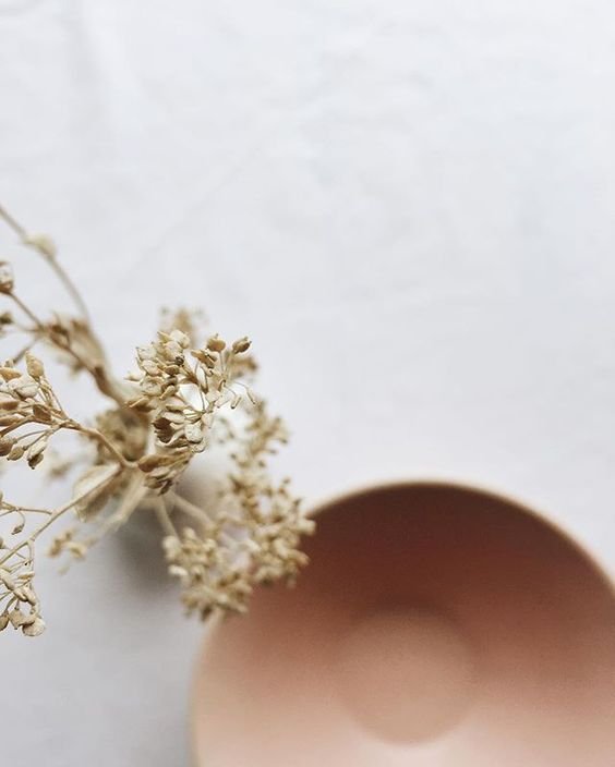 Ayurvedic Wellness Consultation