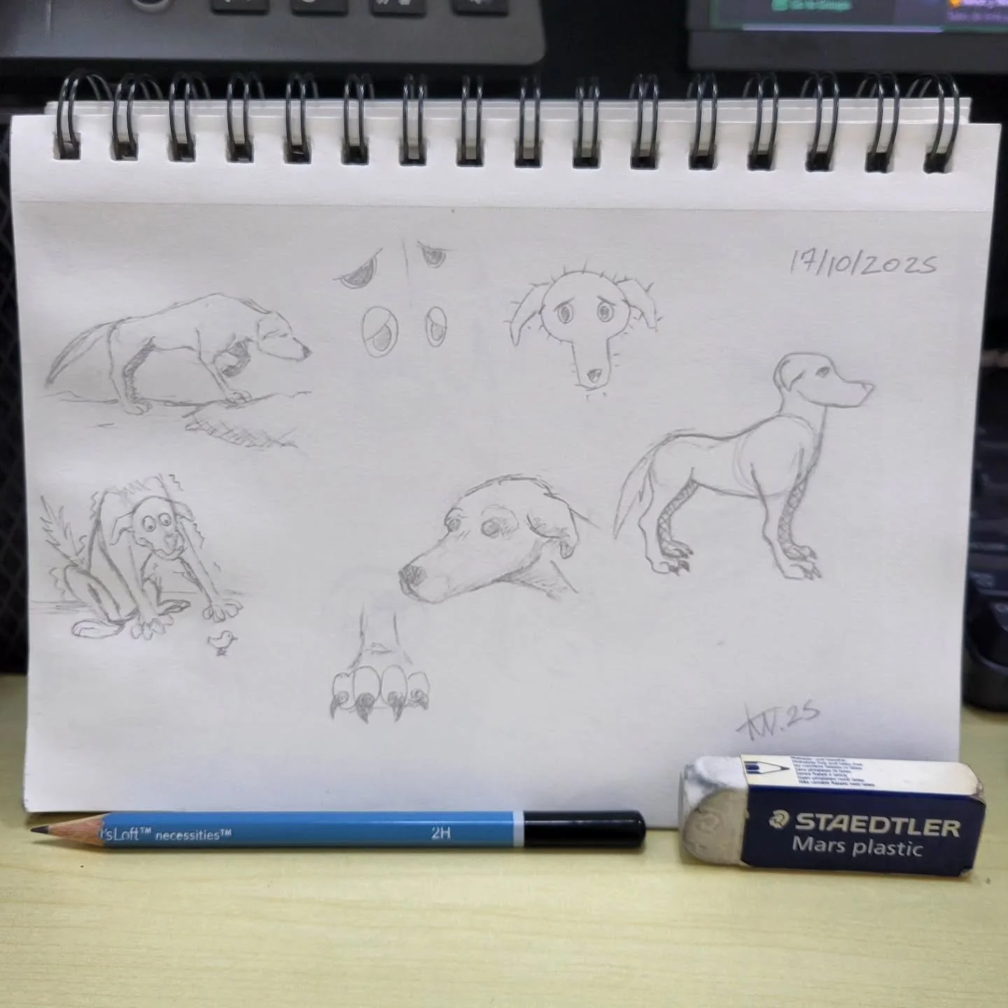 Más bocetos y práctica en lápiz. Aunque estos dibujos tienen una función relacionada a un proyecto, el proceso de hacerlos sigue siendo algo terapéutico. Mi enfoque es digital, pero cada obra que trabajo comienza co