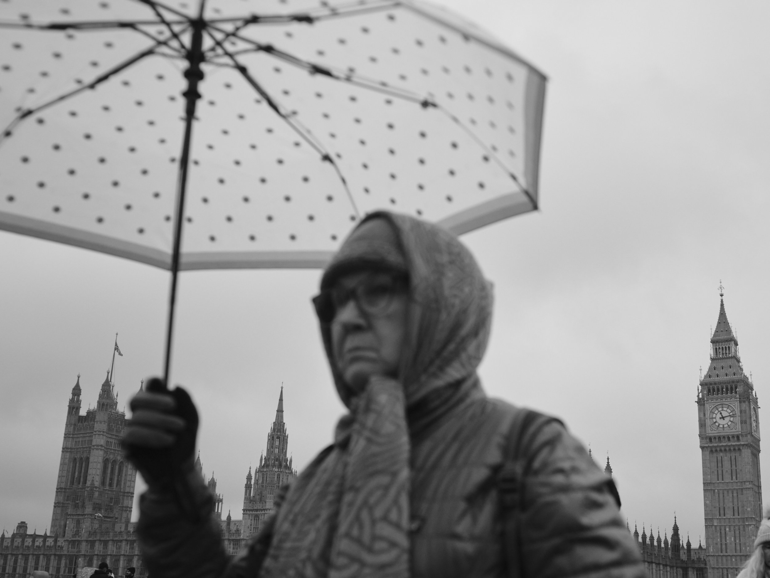 DSCF3708.JPG