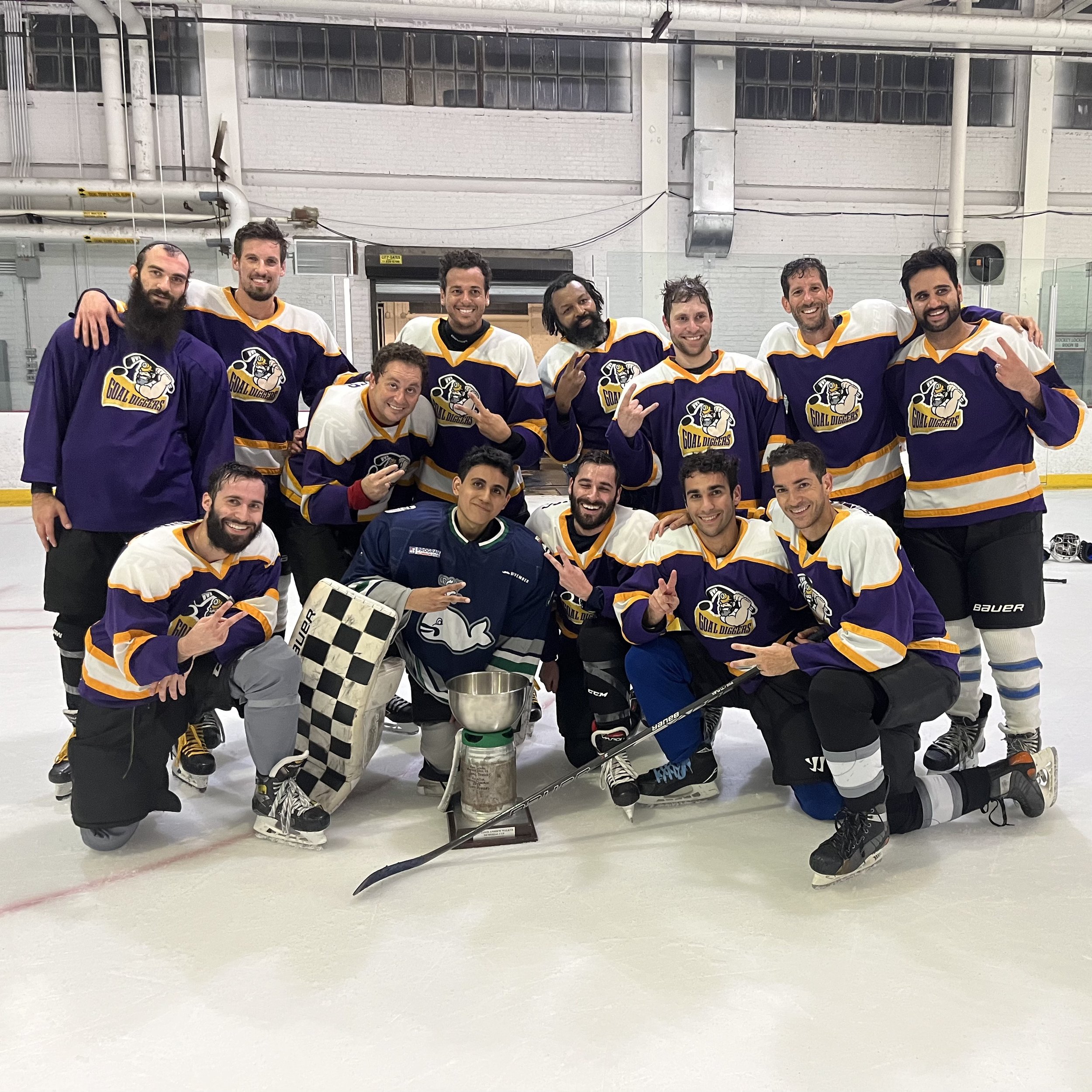 Division 9 Hockey League NYC