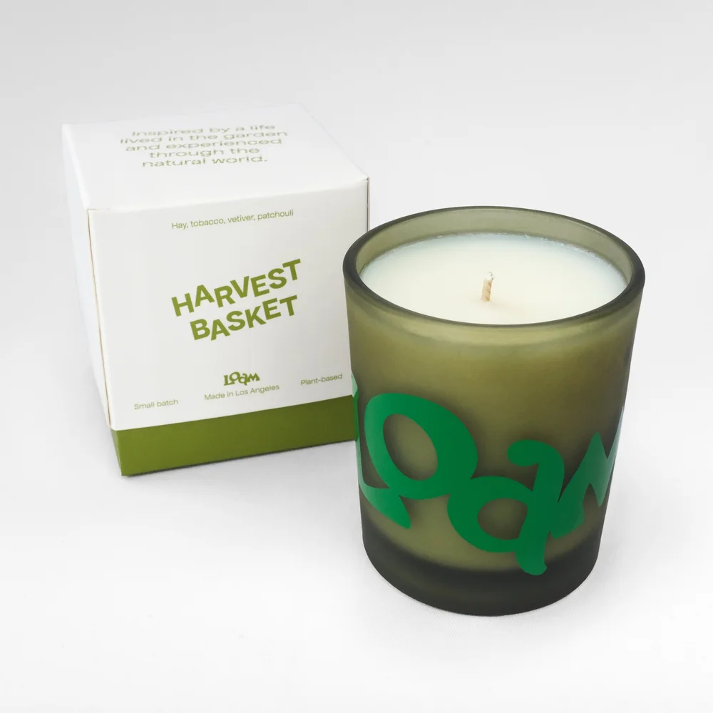 hay smells like tobacco What Does Smell Like? 5 Effective Ways to Prevent