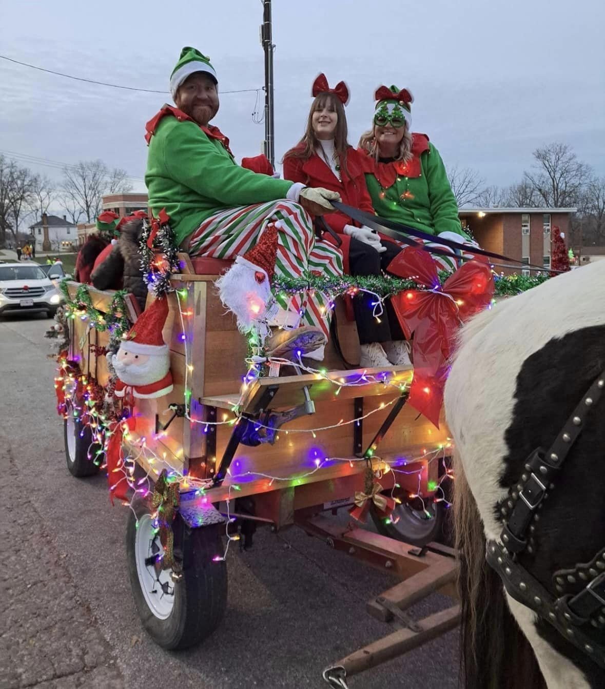 Vaughn Family Horse Drawn Carriage