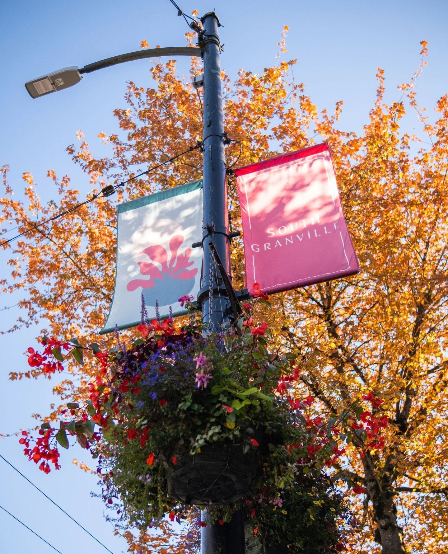 It&rsquo;s BIA Week! 🫶✨⁠
⁠
This is the one time of year we step out from behind the scenes to talk about who we are and what we do for the district. ⁠
⁠
If you aren't familiar with the term, BIAs (Business Improvement Associations) are non-profit or