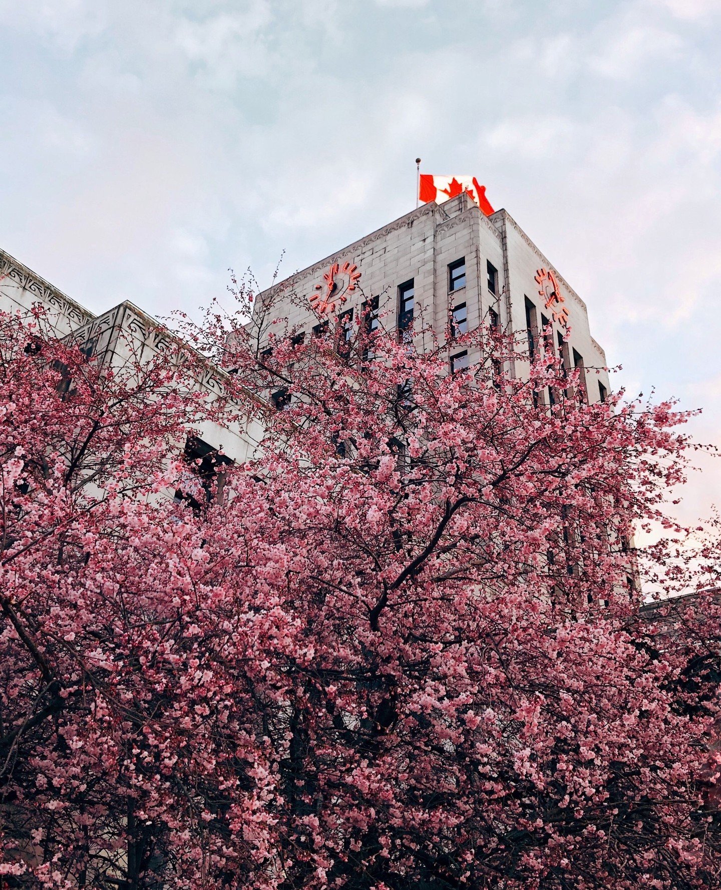 The voice behind the district. 📢💼⁠
⁠
While the murals and flower baskets are the most visible parts of our work, a huge portion of what we do happens behind a desk or at meetings at City Hall. ⁠
⁠
The SGBIA's Executive Director works tirelessly to 