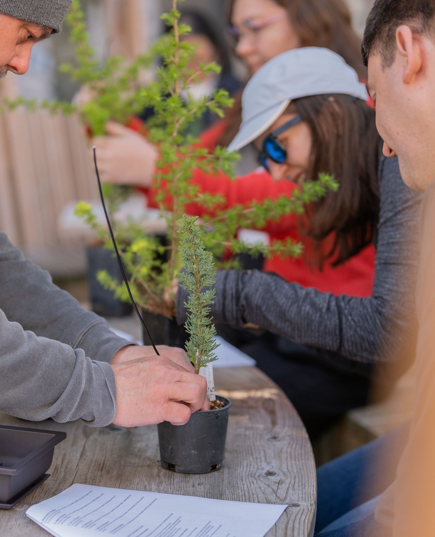 A neighbourhood favourite is making its return. 🌿✂️⁠
⁠
Back by popular demand, The Art of Bonsai Workshop is officially returning. We&rsquo;re partnering with the experts at the BC Bonsai Society for a hands-on morning dedicated to the beautiful, sl
