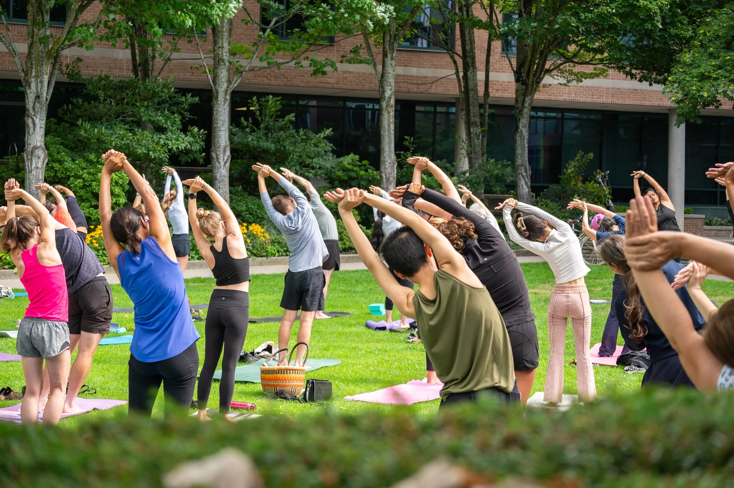 Bend & Flow Yoga