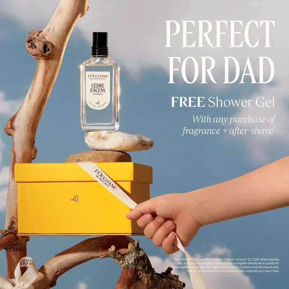 L’Occitane Father's Day Sustainability Event