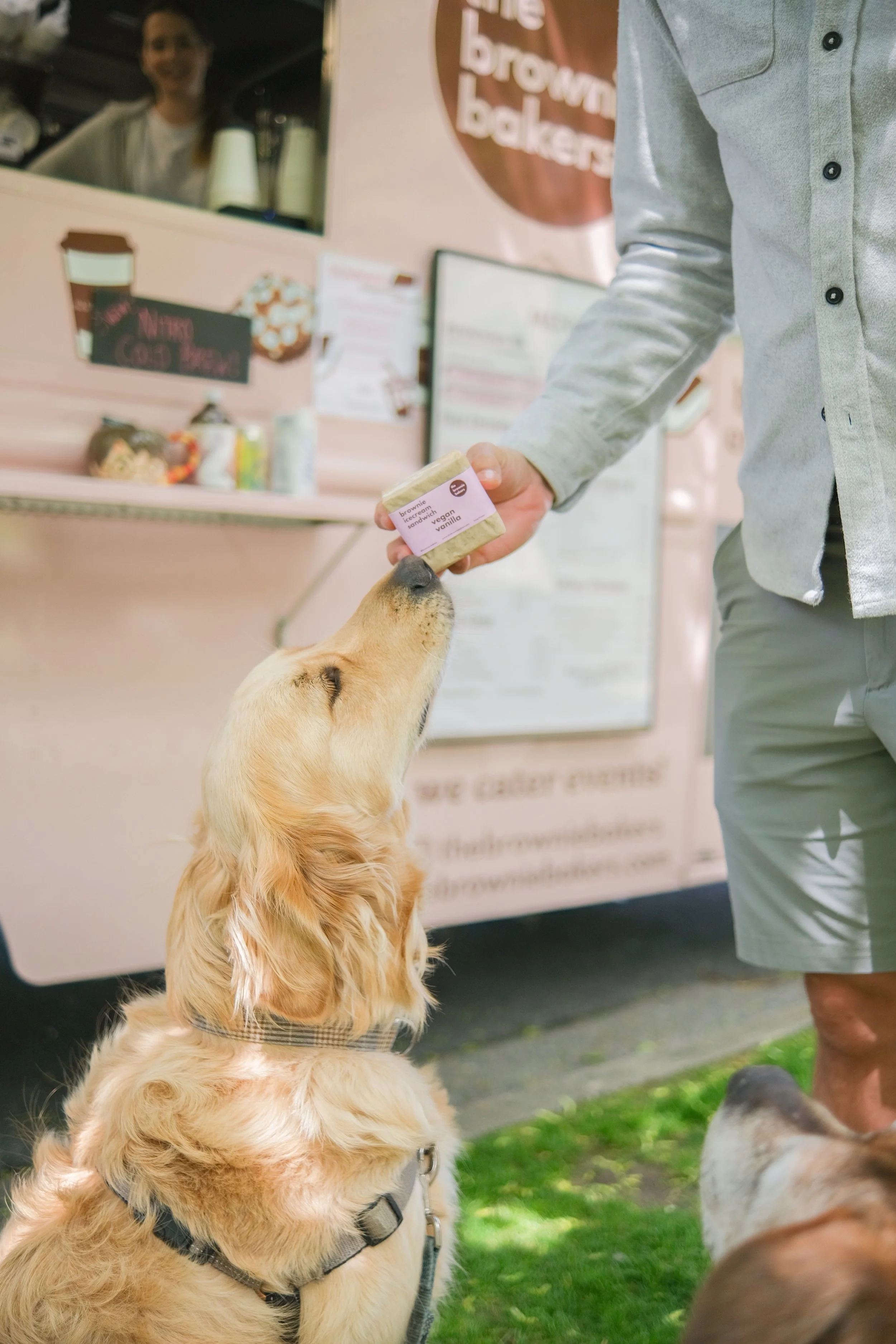 TGIFood Trucks