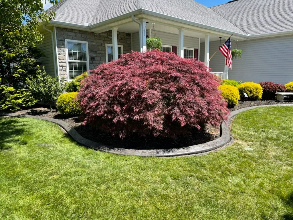 All-Natural Fertilization near me Camp Hill, PA, Dickinson Township, PA
