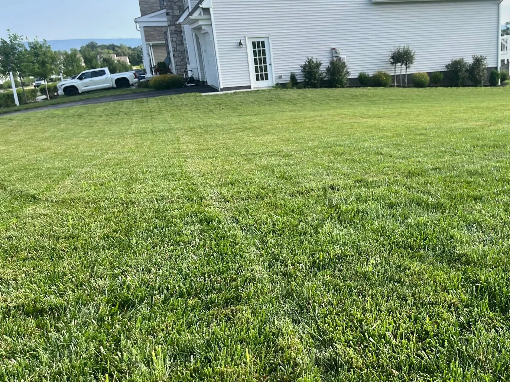 What to Expect from Lawn Renovation in Mechanicsburg, PA (Design, Process, and Results)