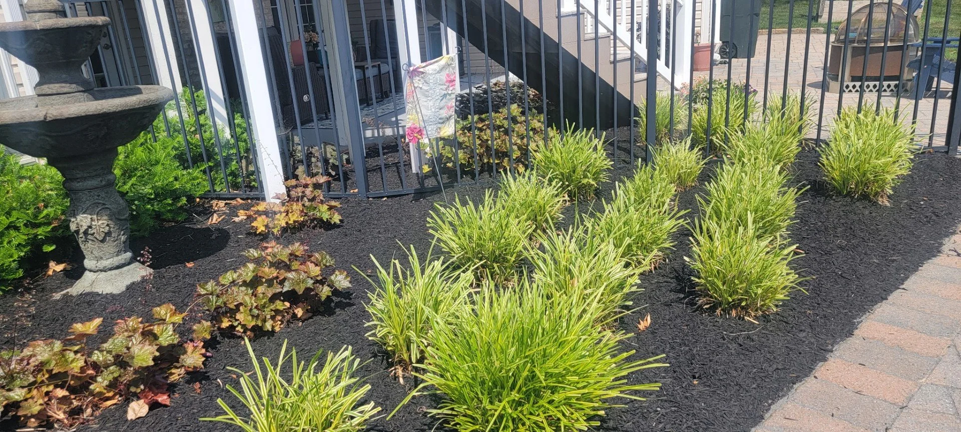 plant company