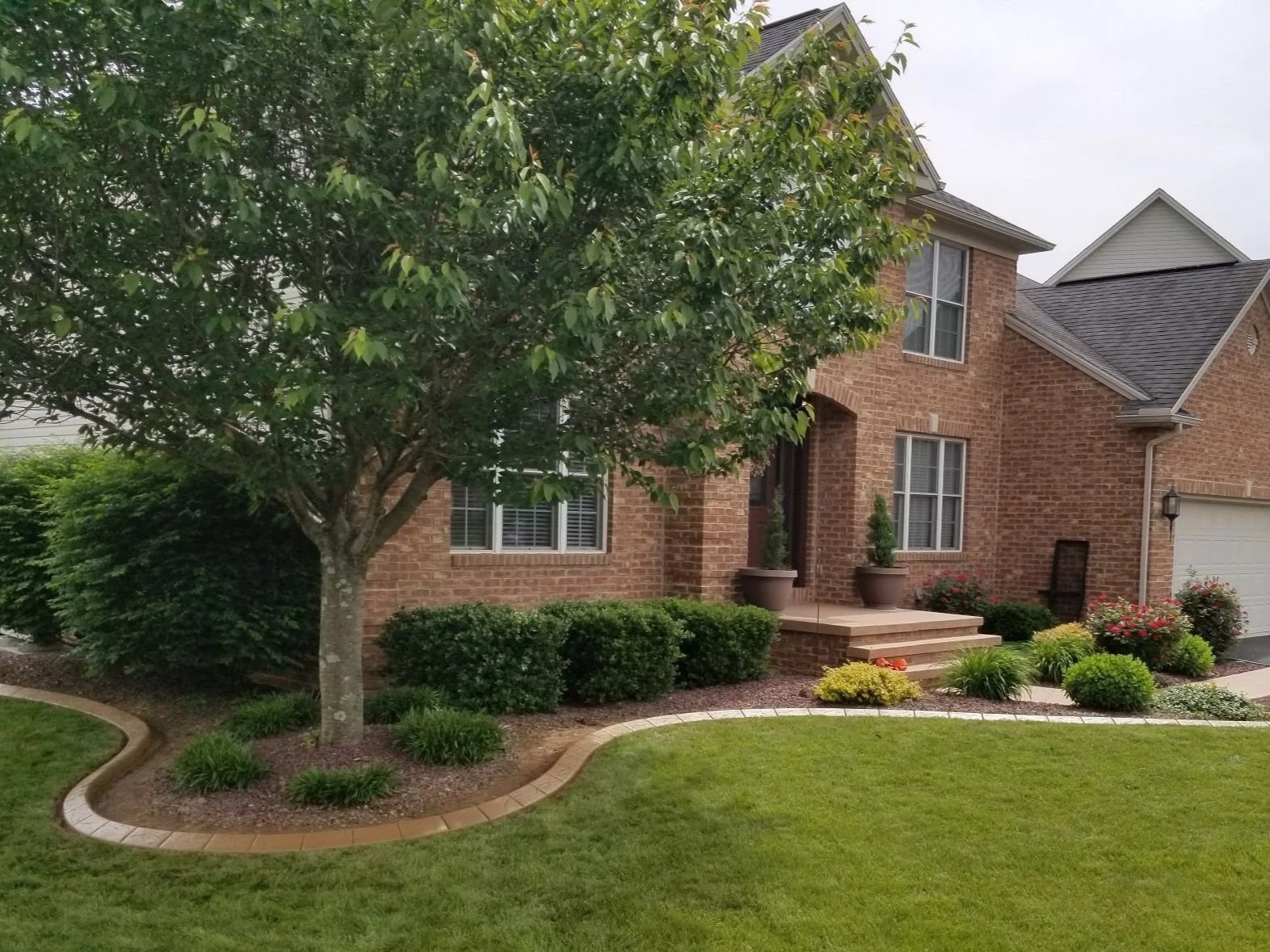 Precision Pruning in Penn Township, PA improving mature shade tree structure