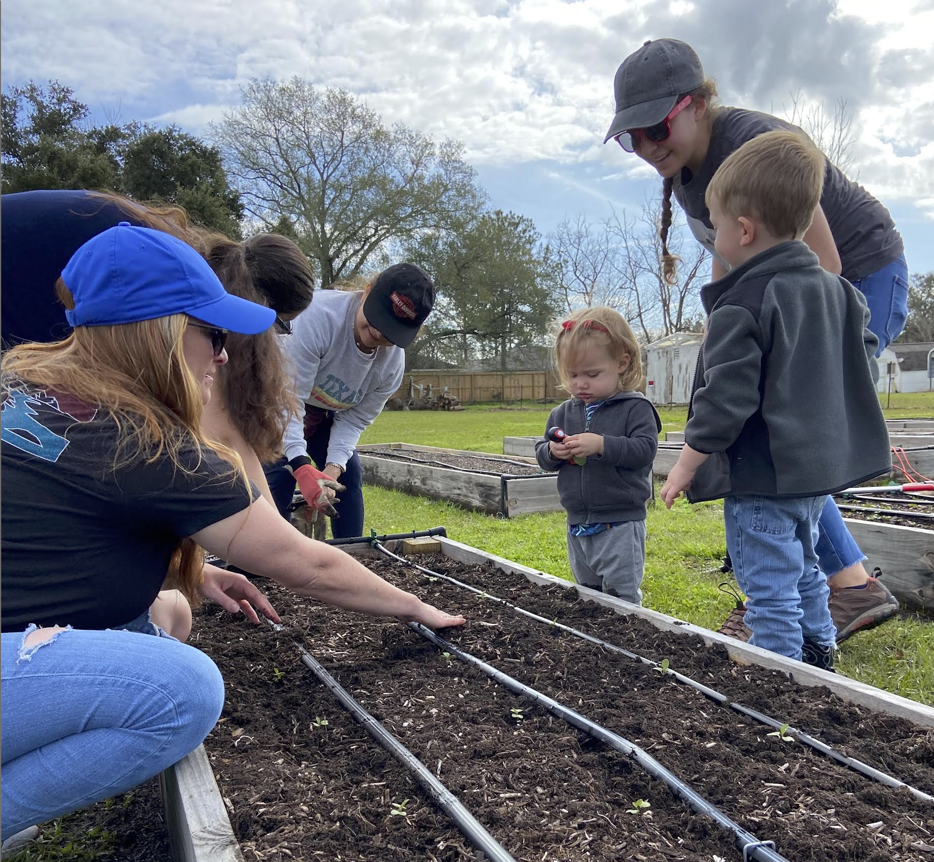 Curiosity Is the Mechanism for Growth