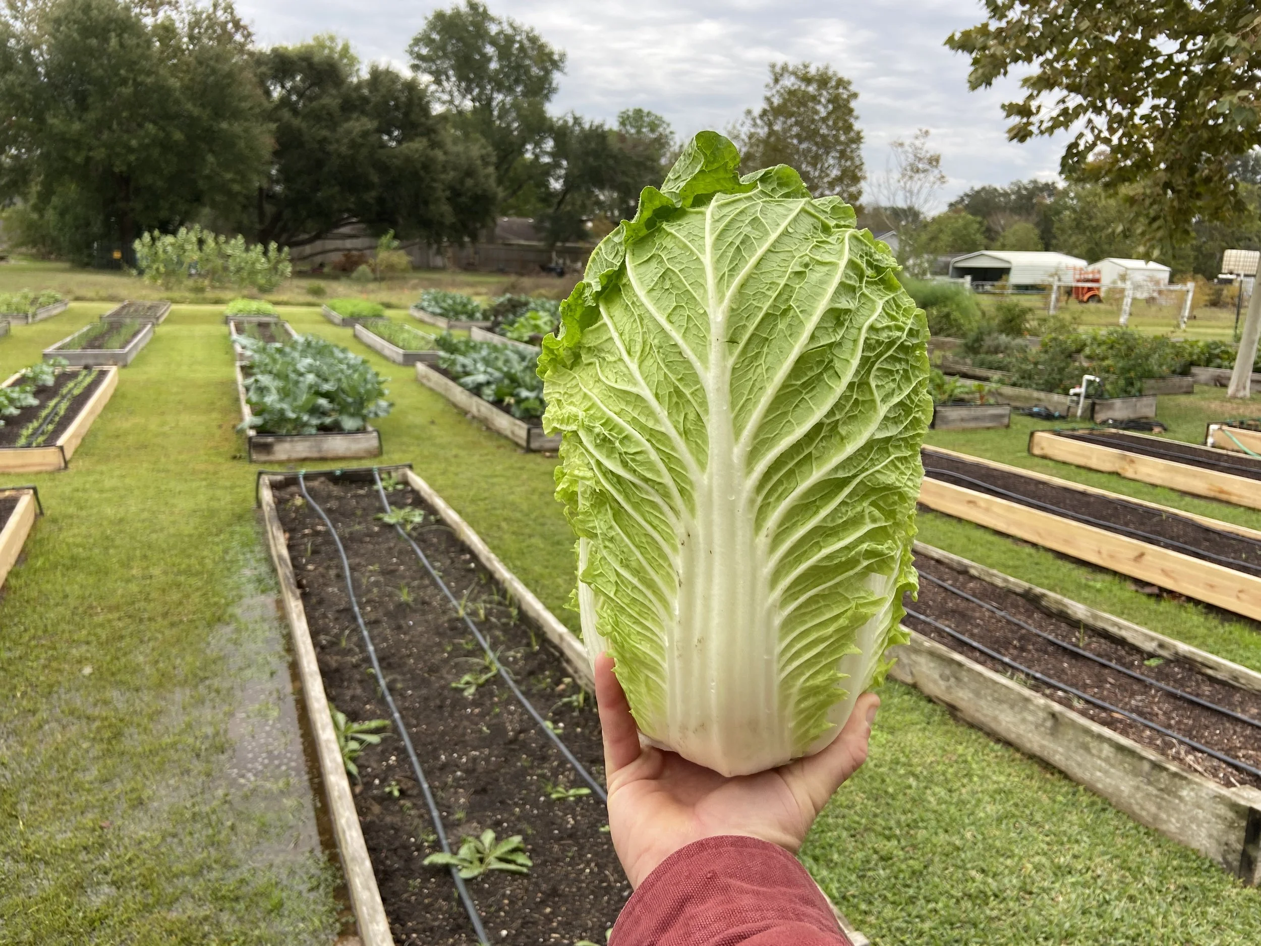 We Don’t Grow Food, But We Do