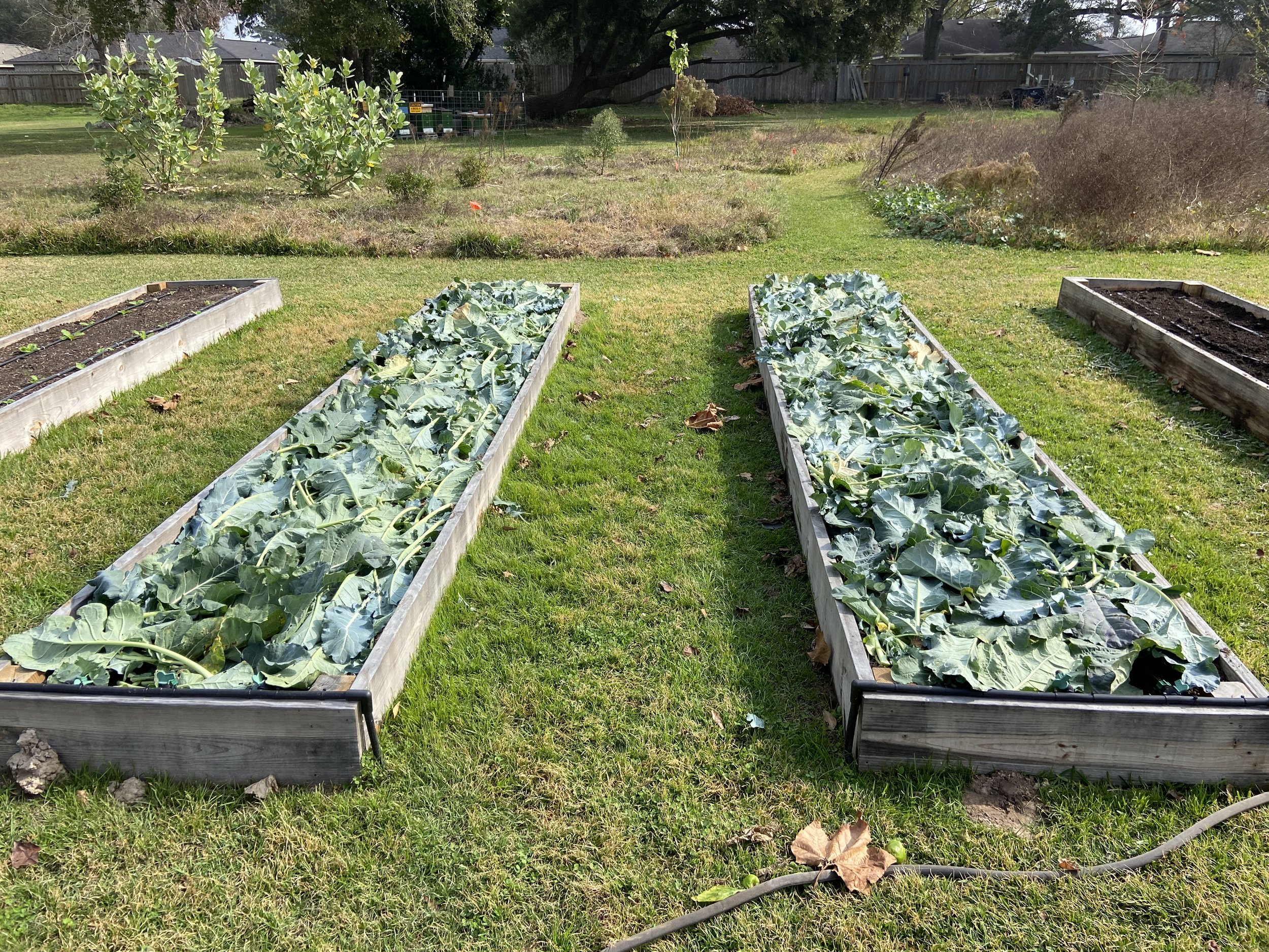 Resilient Soil Builds Resilient Communities