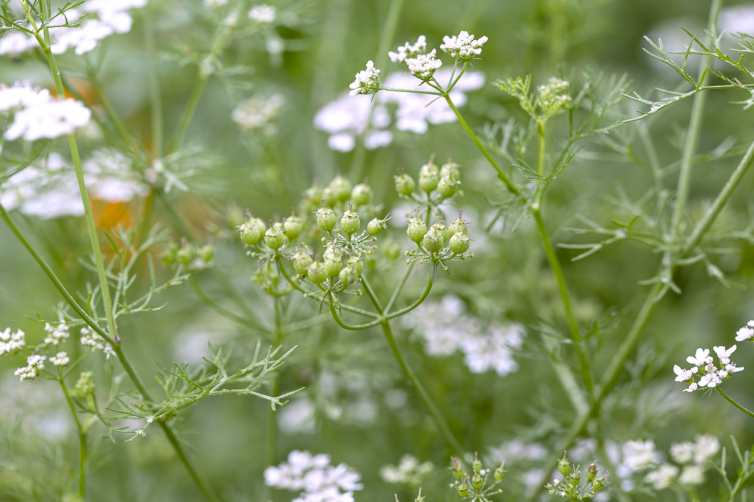 The Precision of Darkness