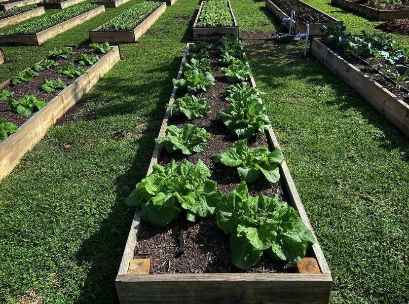 The Cost of Being Useful