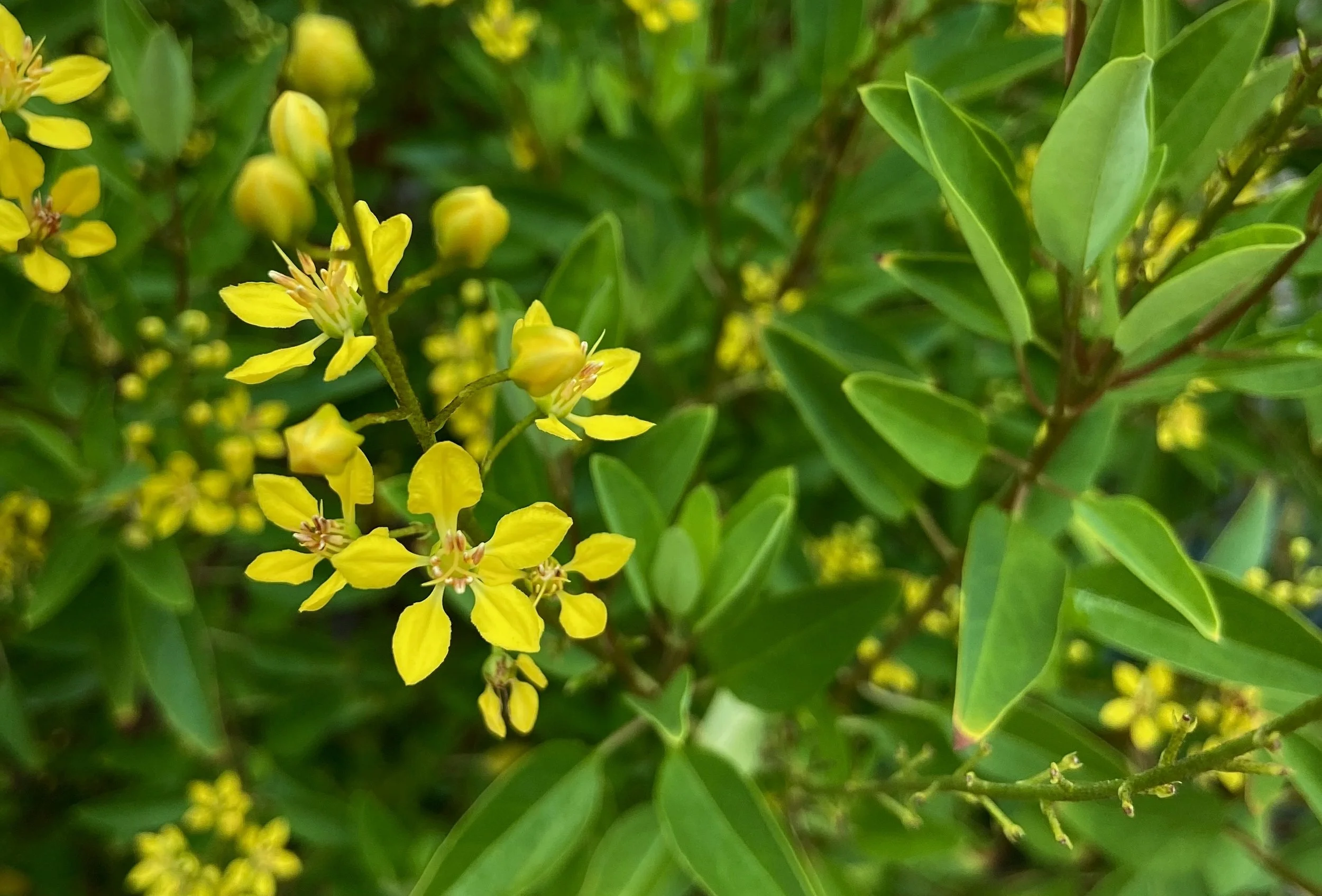 Immediate Fuel vs. Structural Reserves