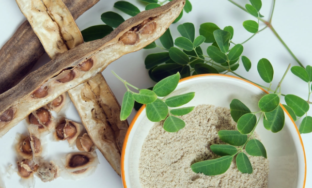 When You Meet a Living Oak