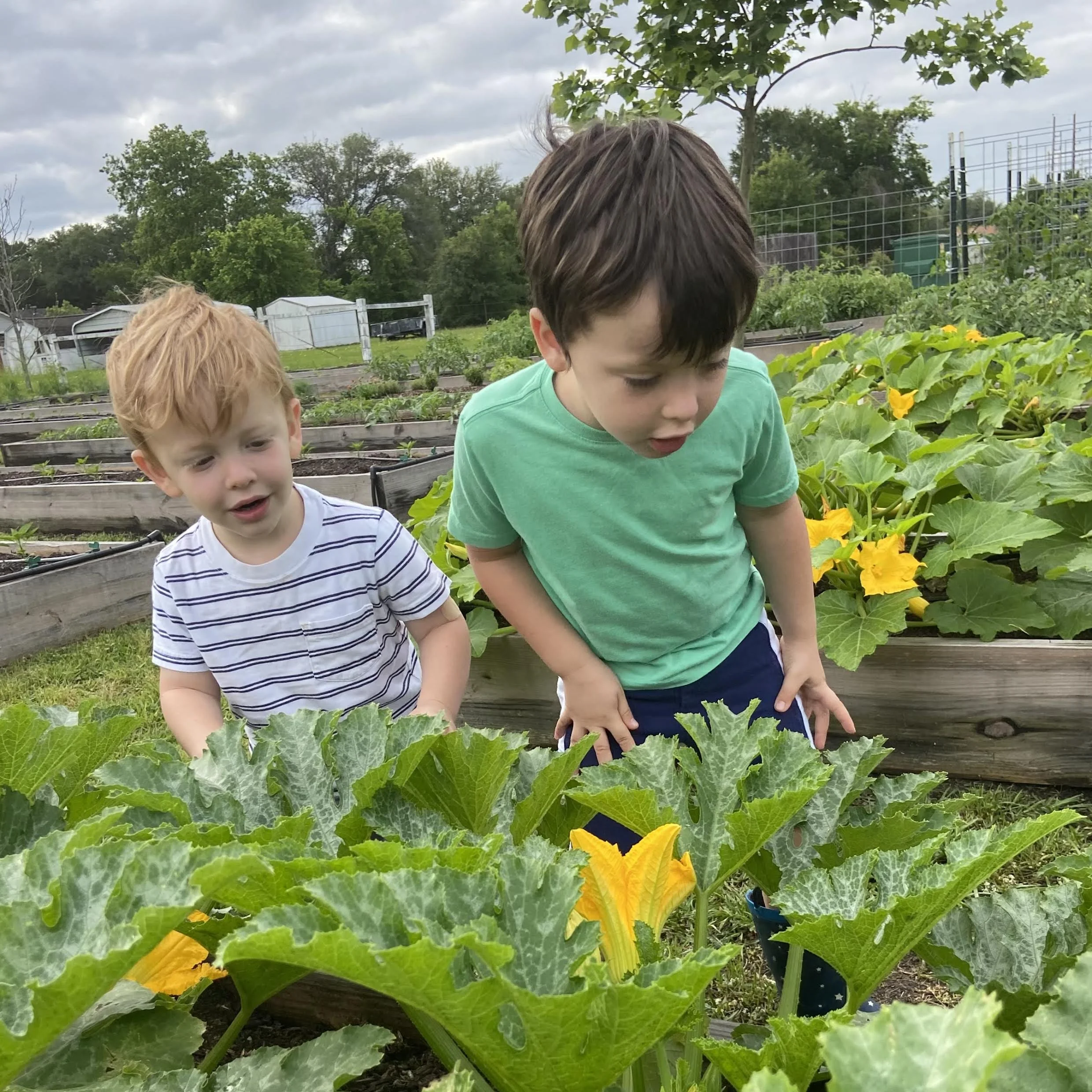 The Garden Is Not a Metaphor