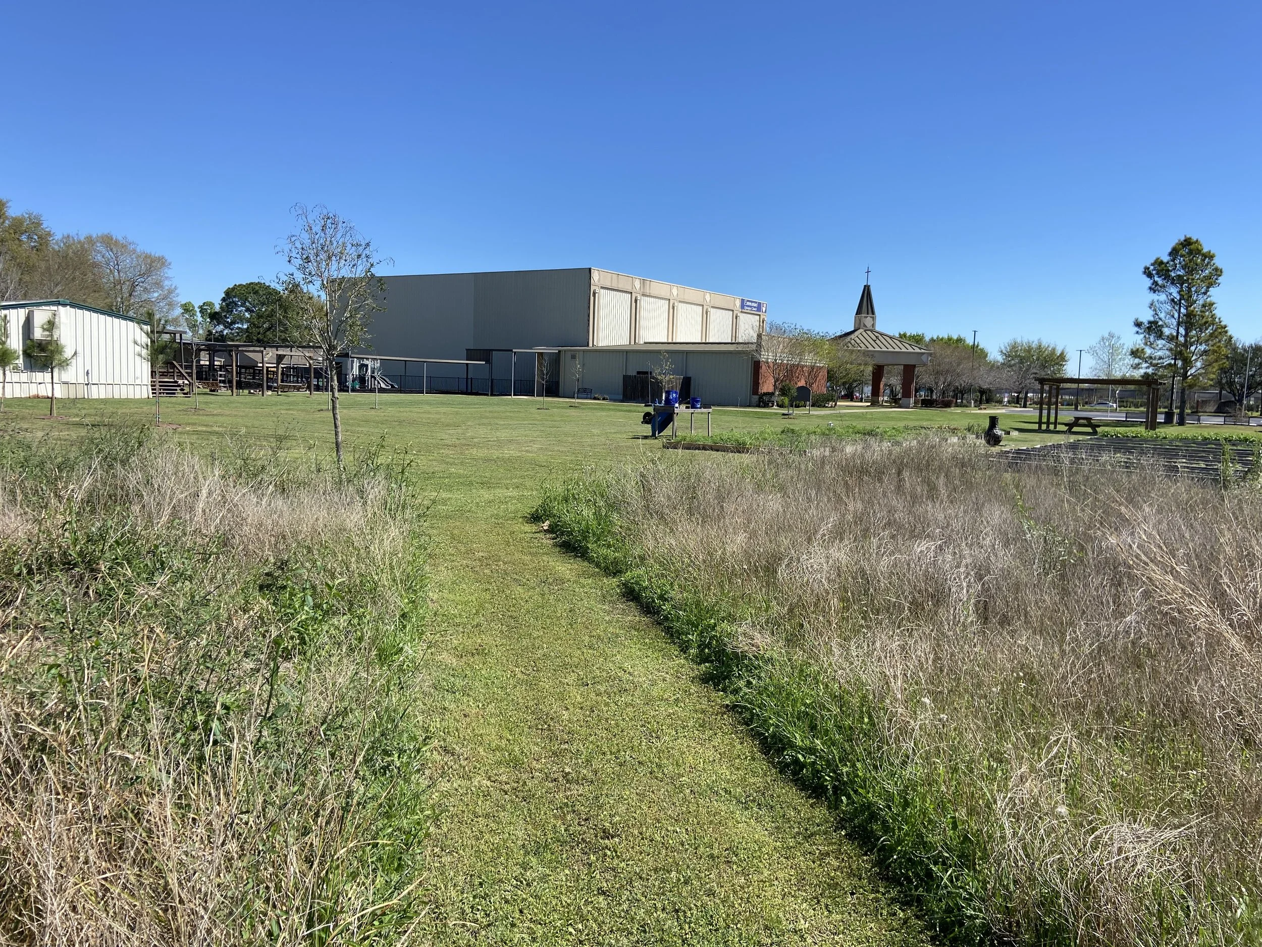 Sometimes It Takes Years to Walk the Garden