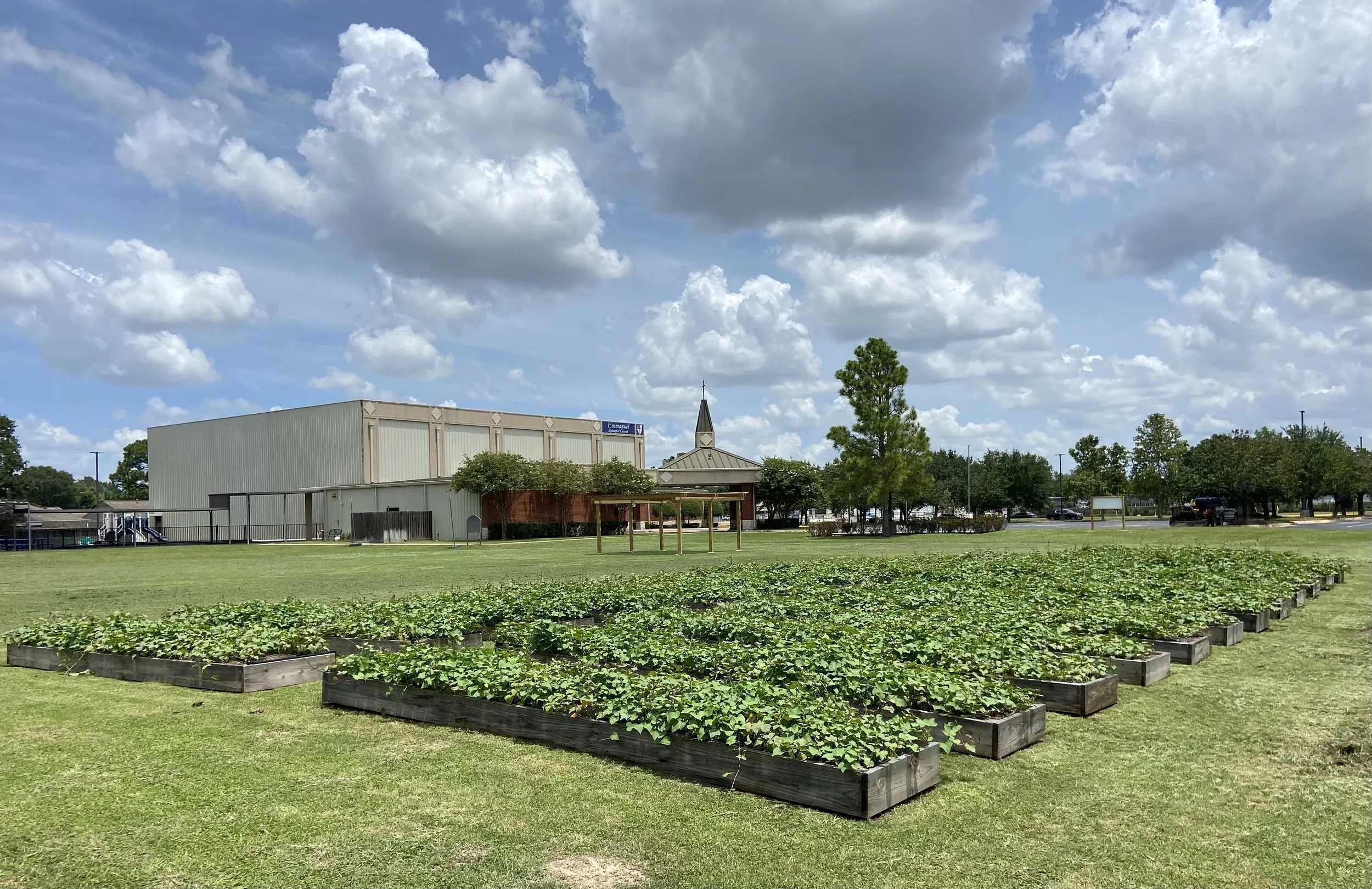 The Life of This Land