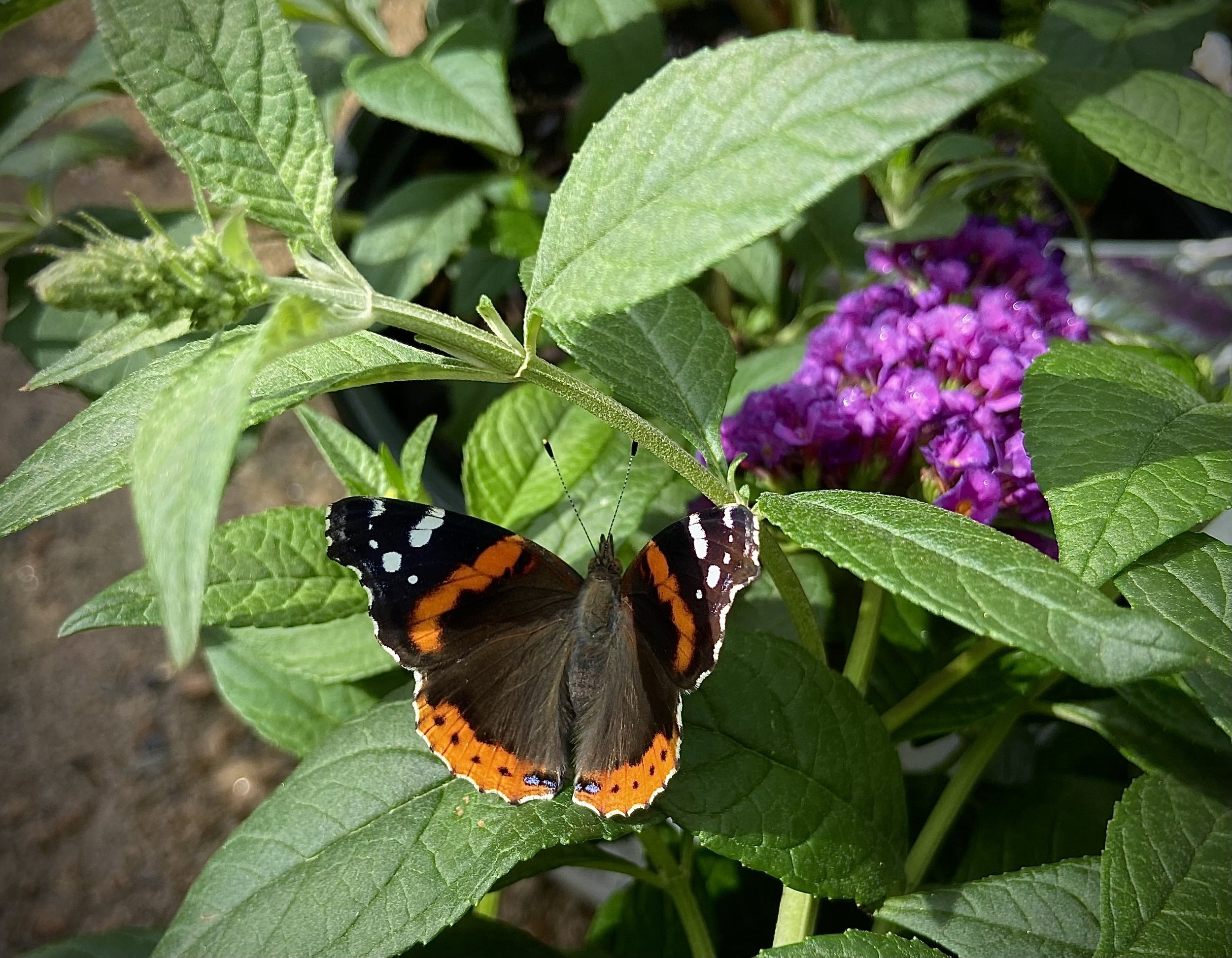 The Collective Exhale