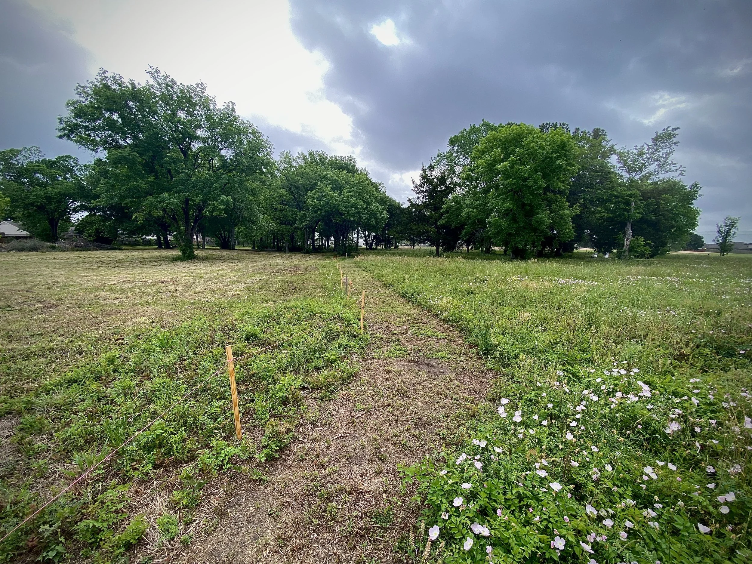 The Line Between Control and Life