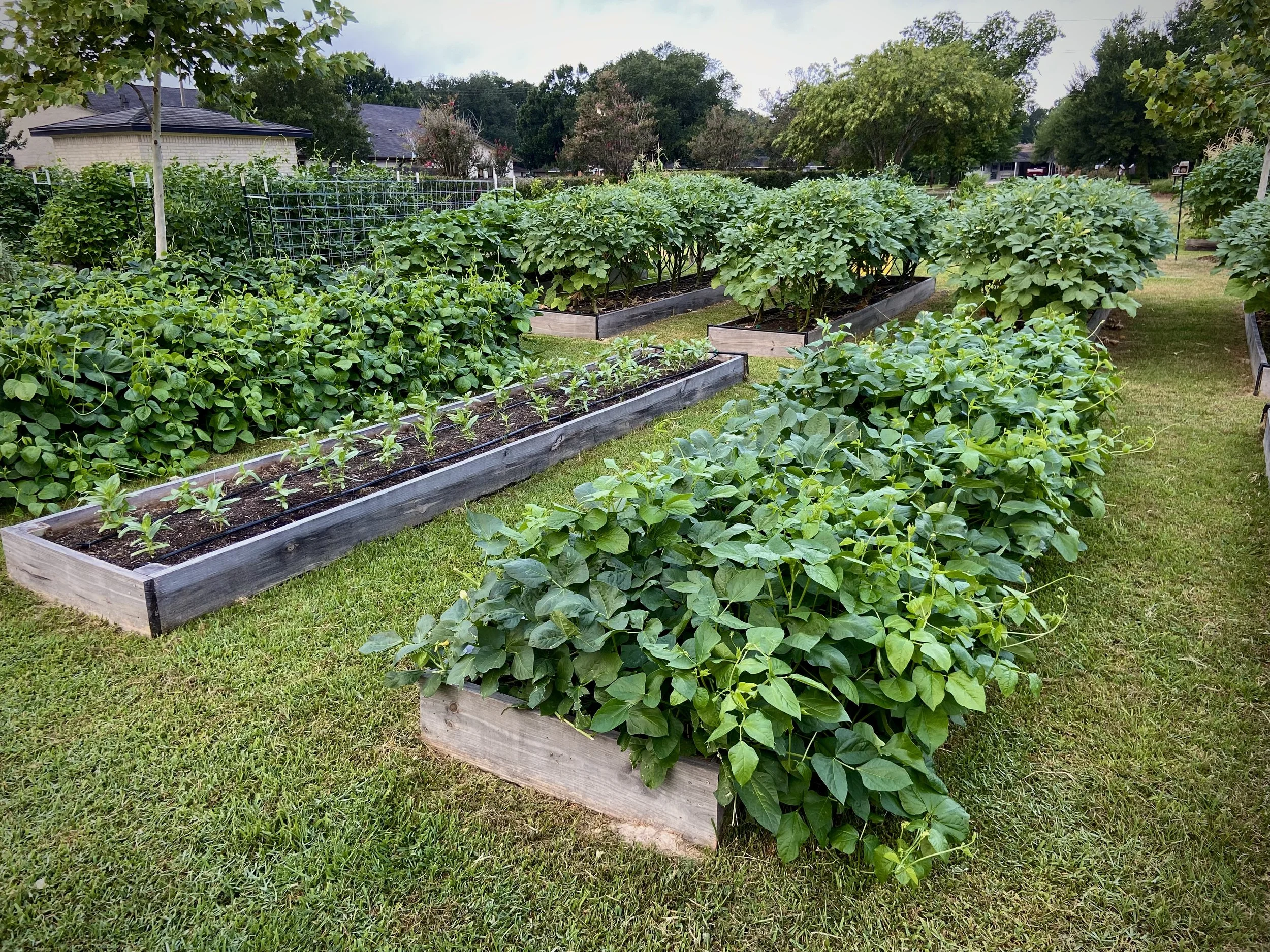 Not a Community Garden