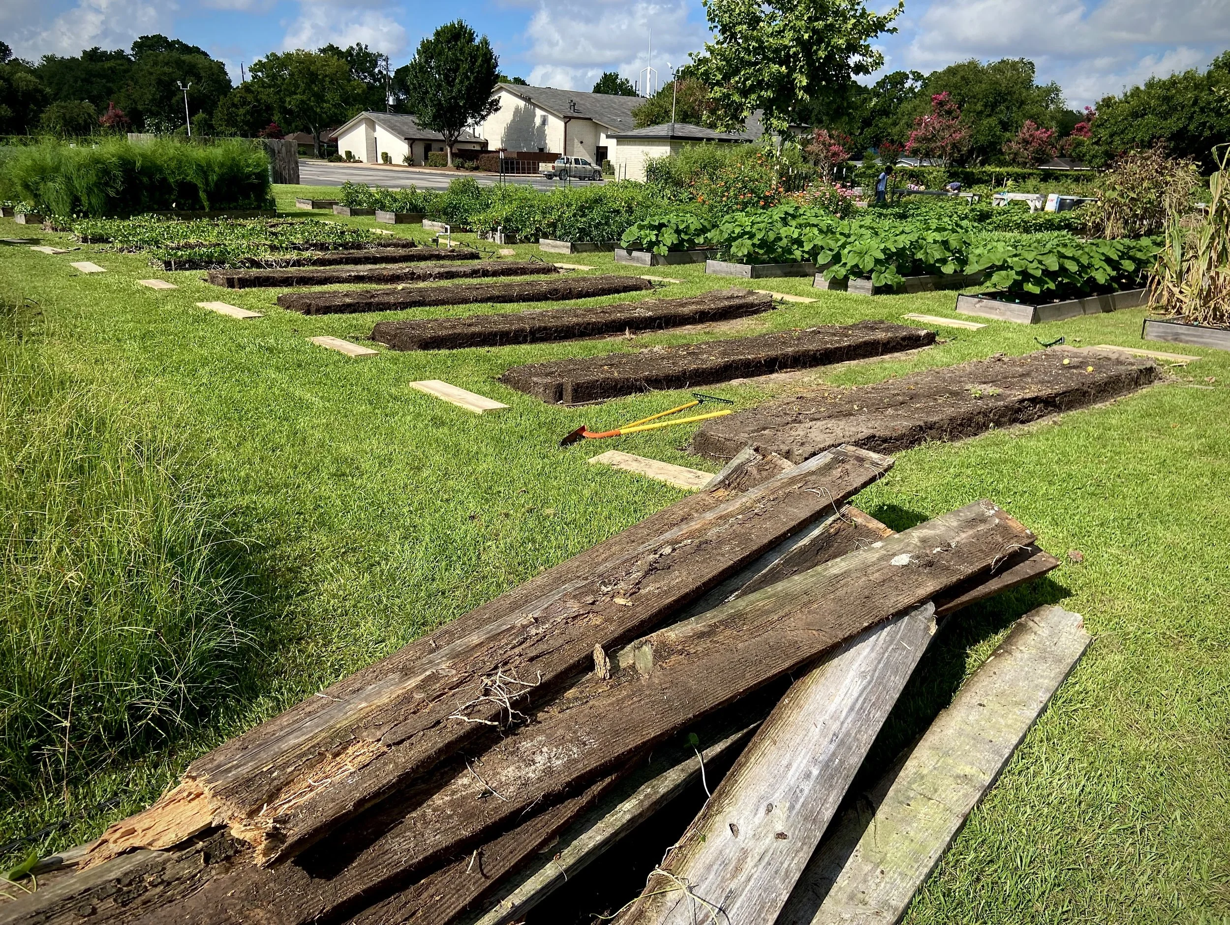 Stewardship, Not Power