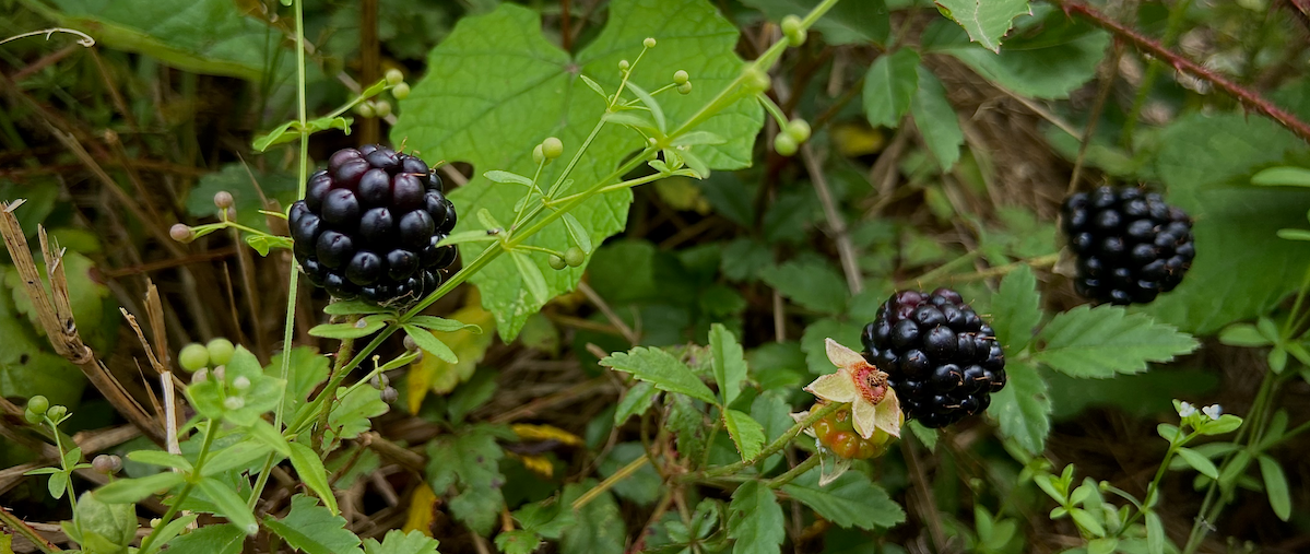 The Threshold Is Real