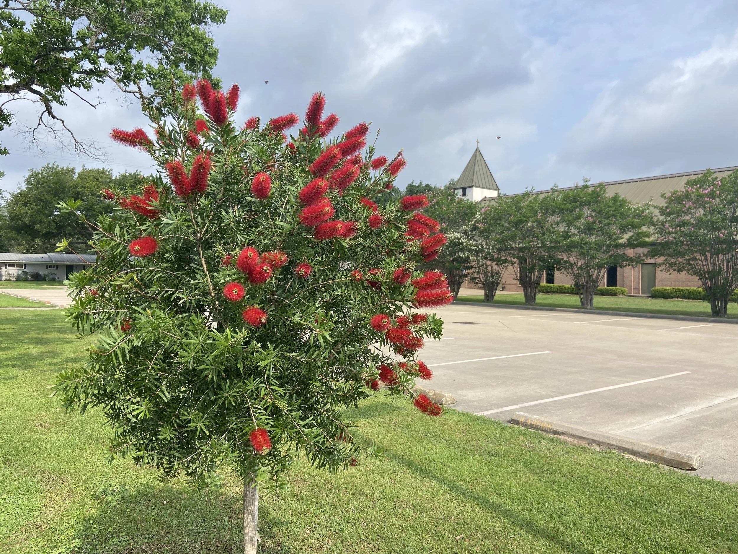 The Threshold Is Everywhere