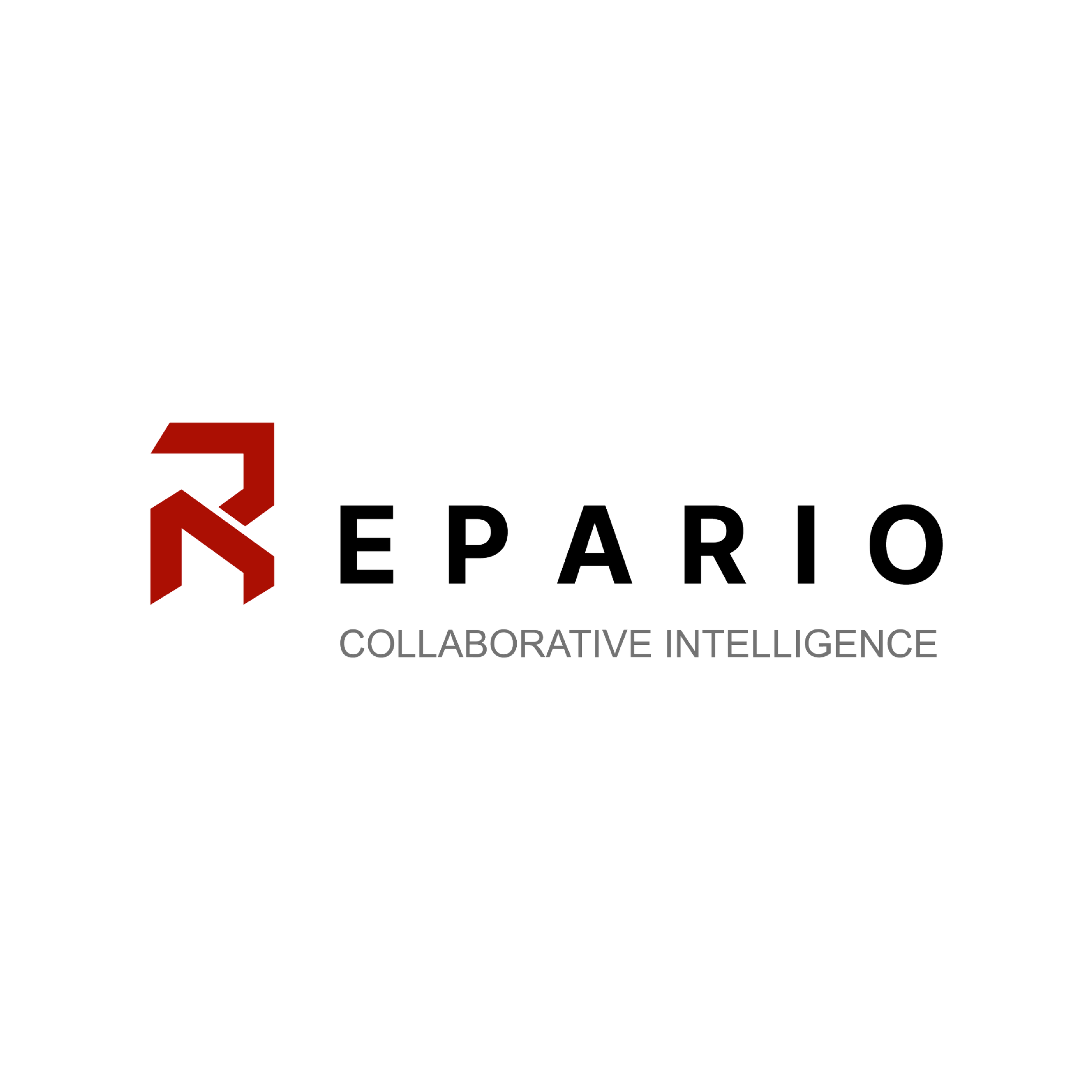 Logo for Repario Data