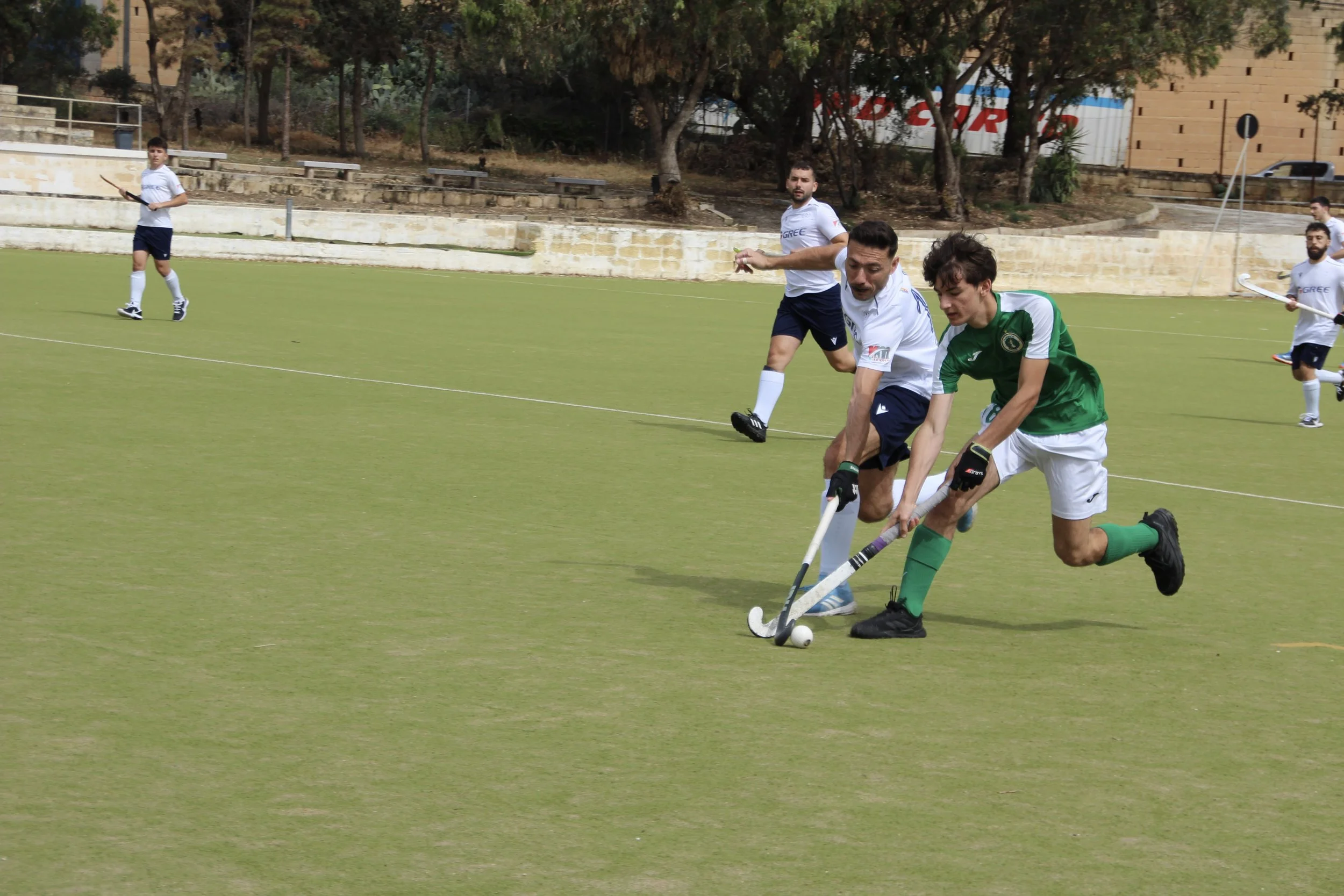 2-IMG_8908.jpg