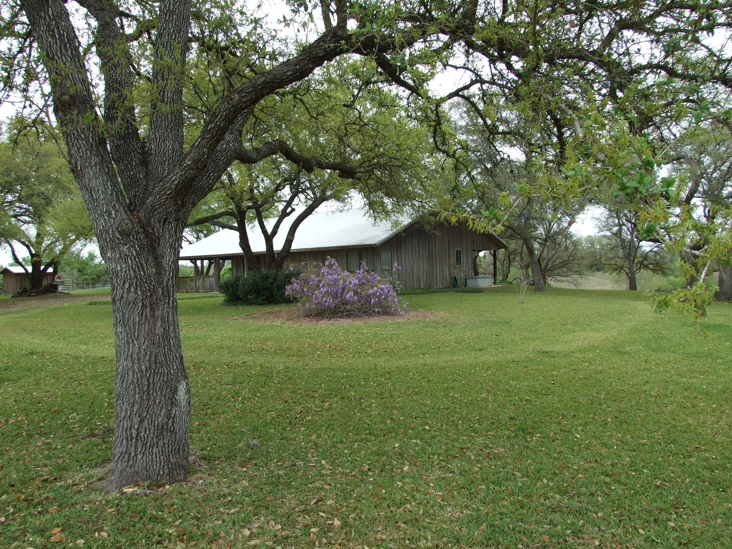 DSCF0259.JPG