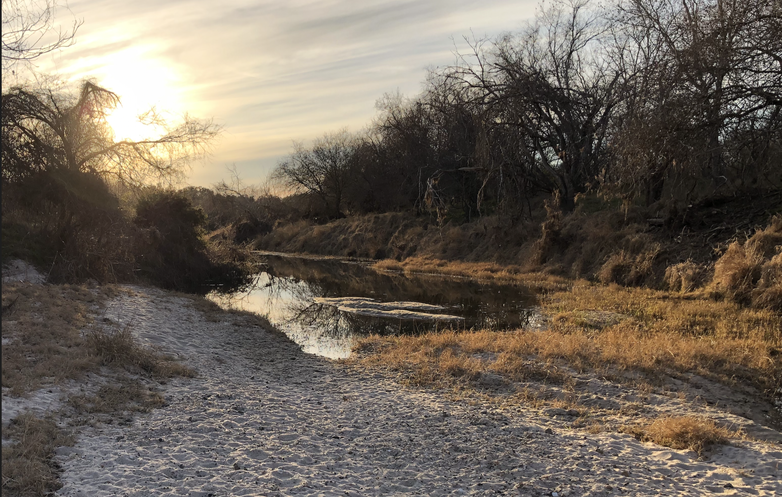 Creekbed032022.png