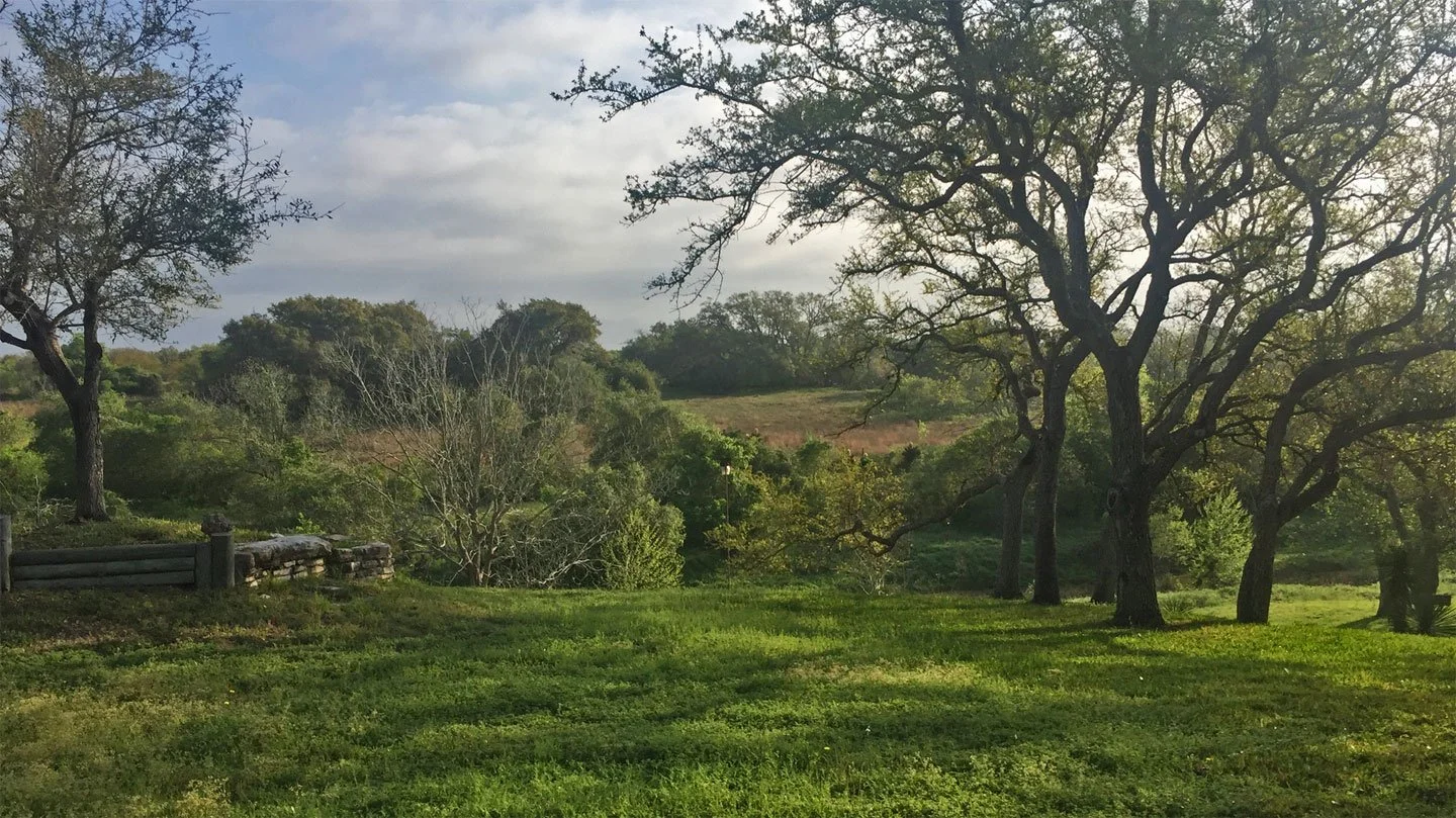 24 Landscape.jpg