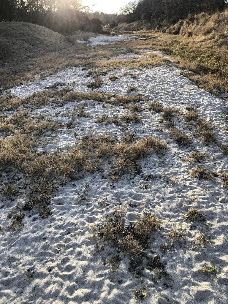 21 Creekbed_03022022.jpeg