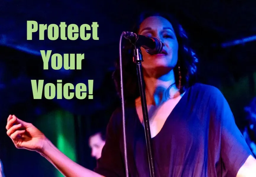 Click on this picture to go to the vocal wellness video.