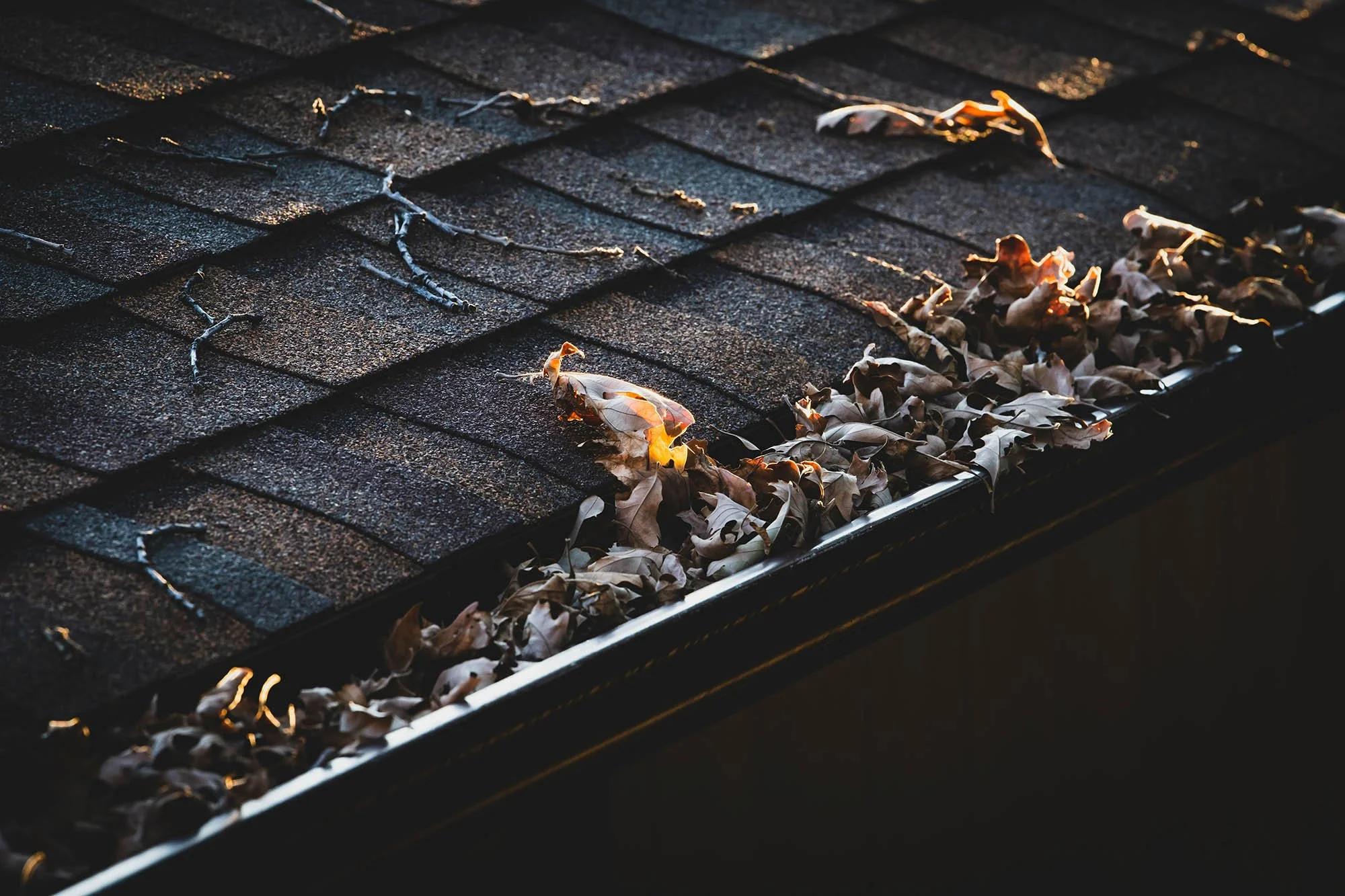 Gutter filled with dry leaves and debris along an asphalt shingle roof, showing a clogged drainage system