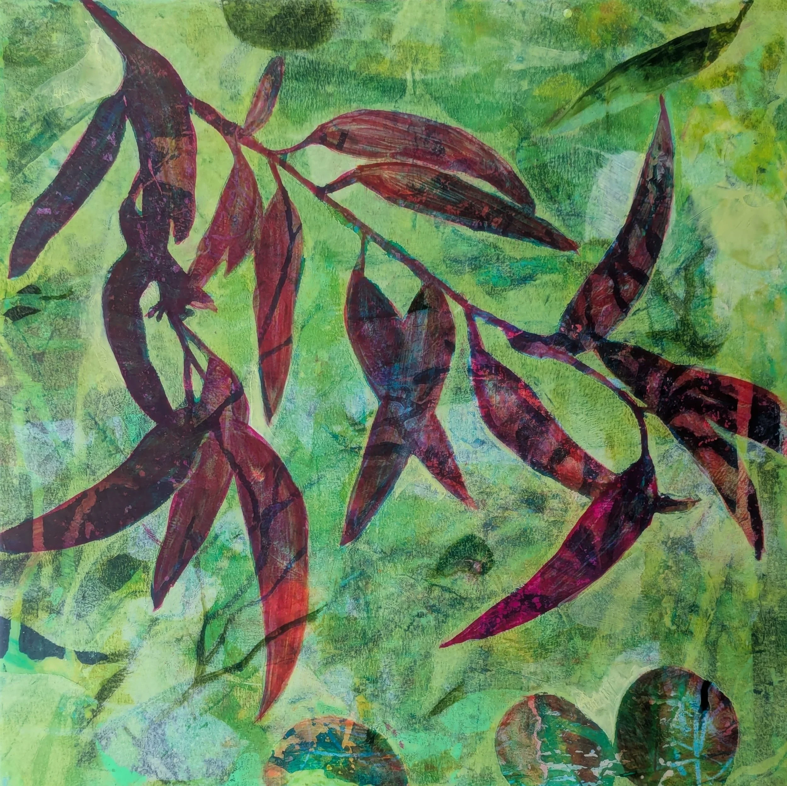 Eucalyptus Dreaming, 13 x 13 Acrylic and Mixed Media in a wood floater frame, $400