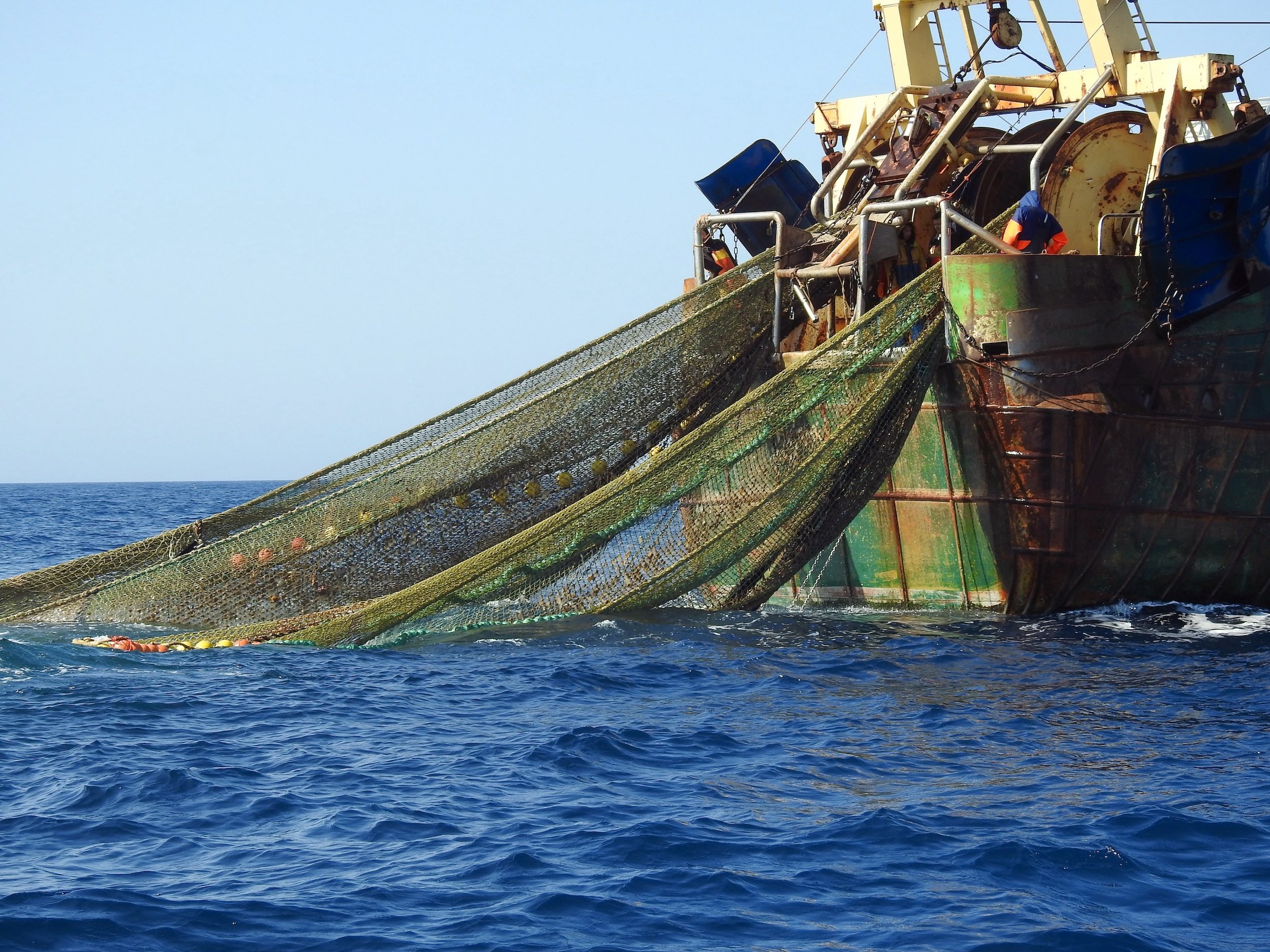 The EU's Battle Under the Waves: Bottom Trawling in Protected Seas