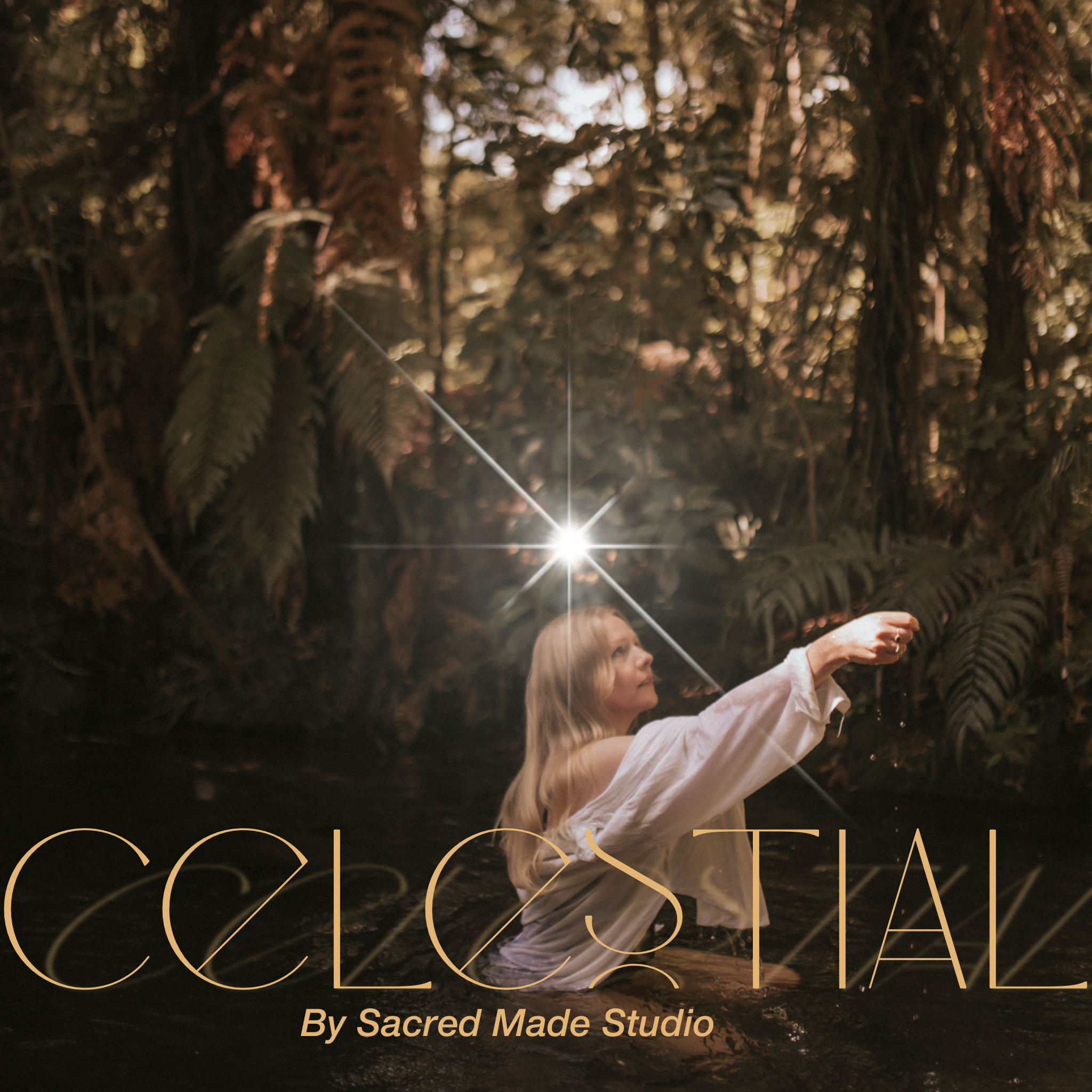 Celestial_Lookbook 2.png
