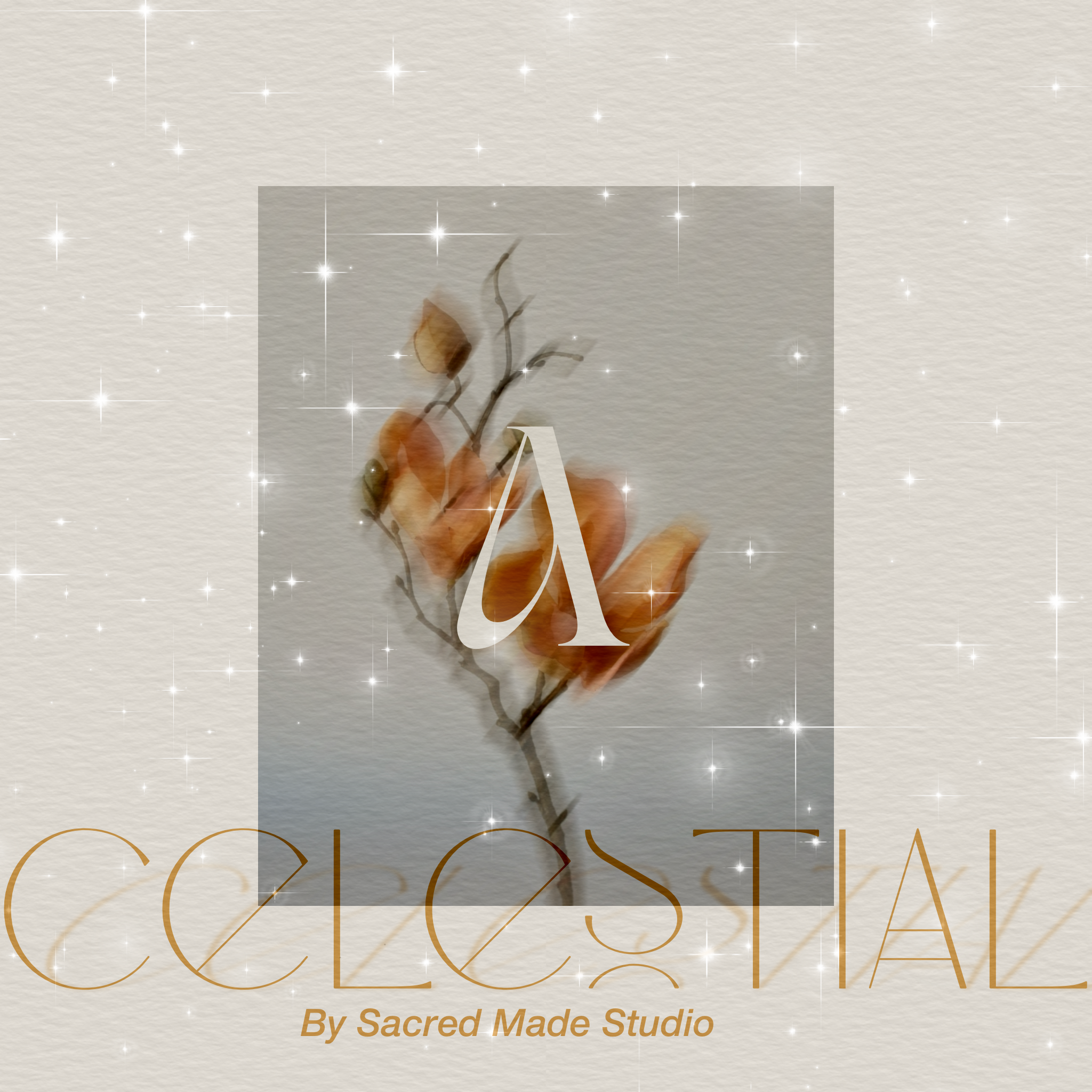 Celestial_Lookbook 3.png