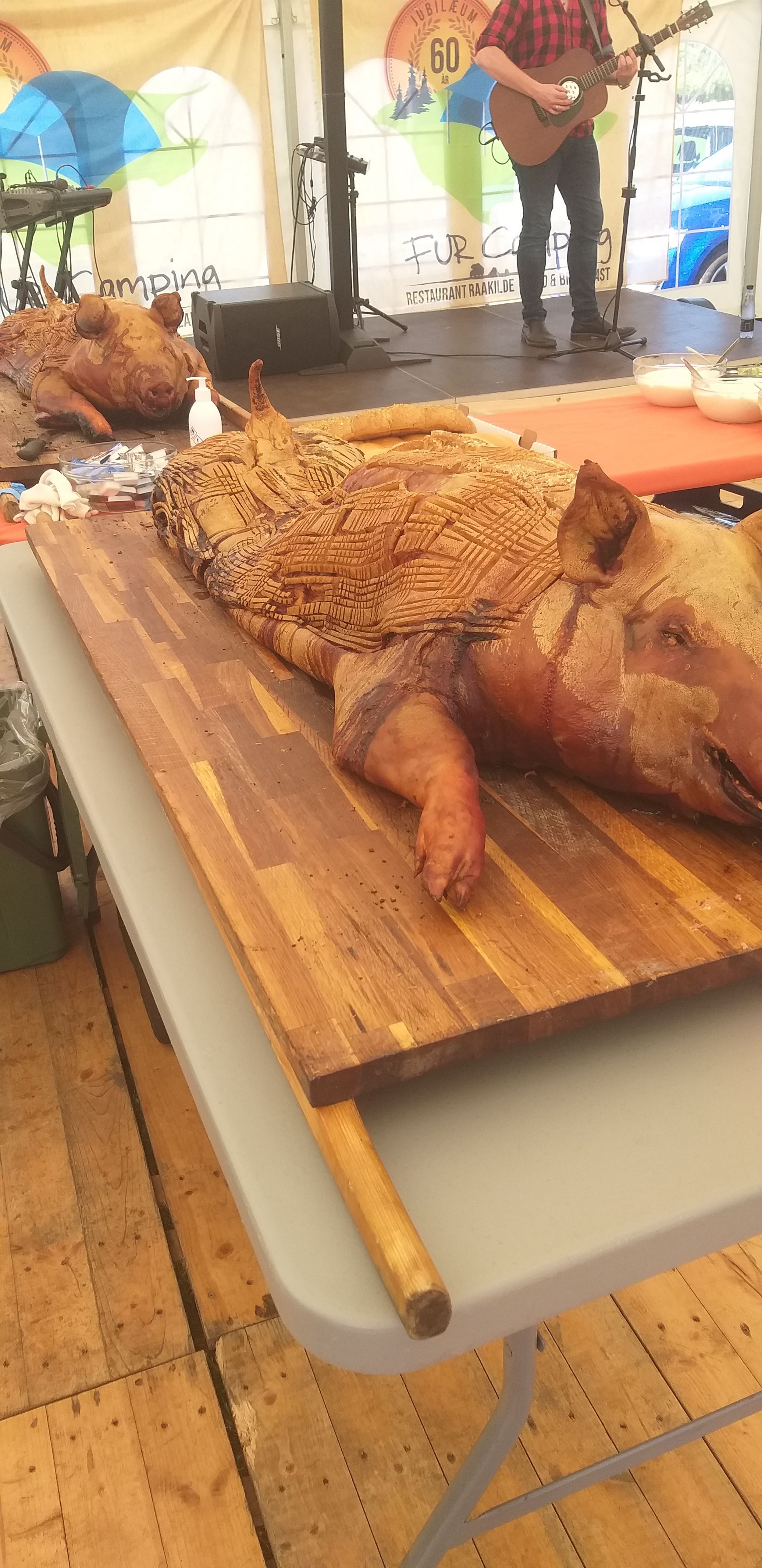 Helstegt pattegris