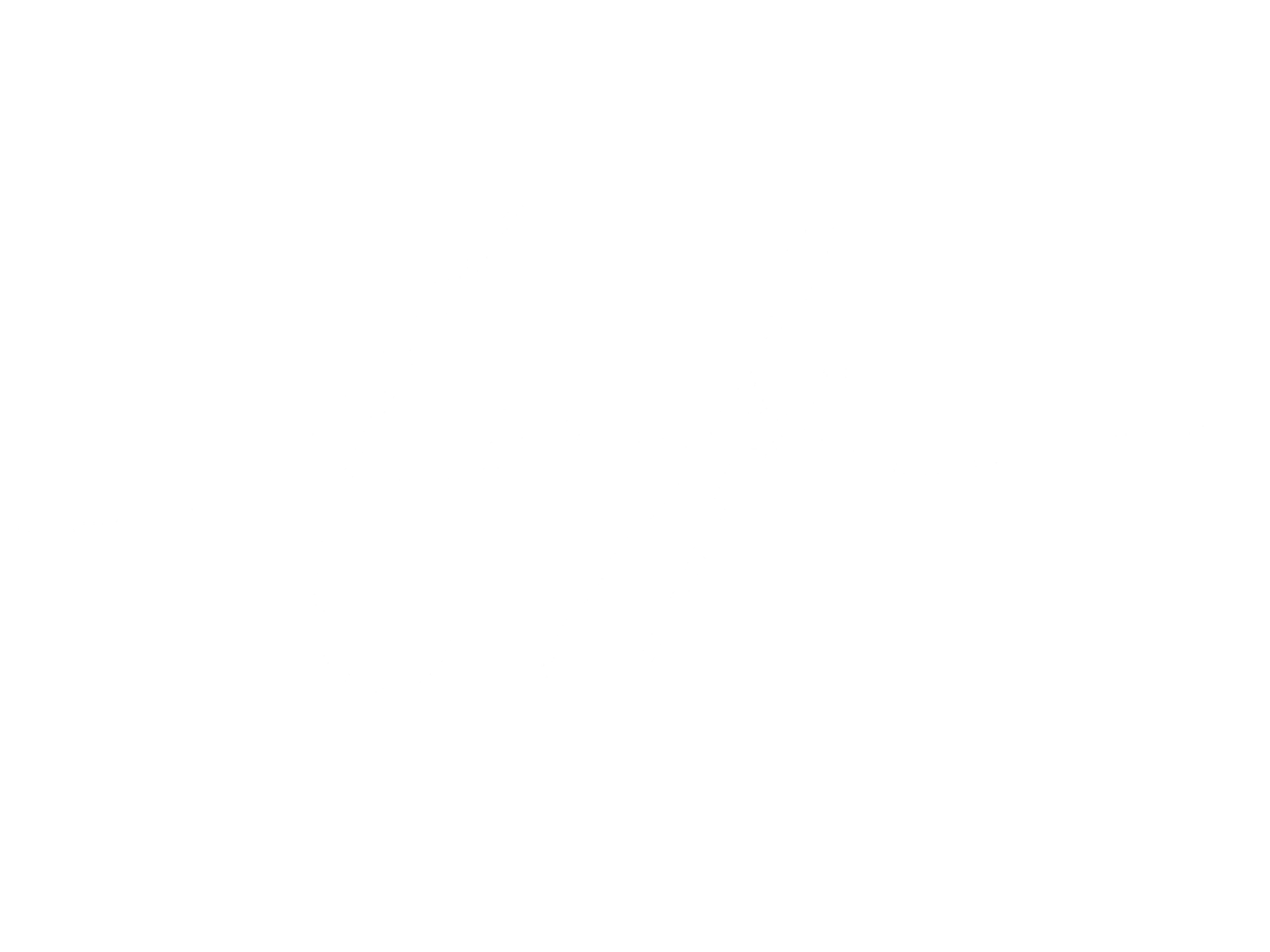 arisaka 