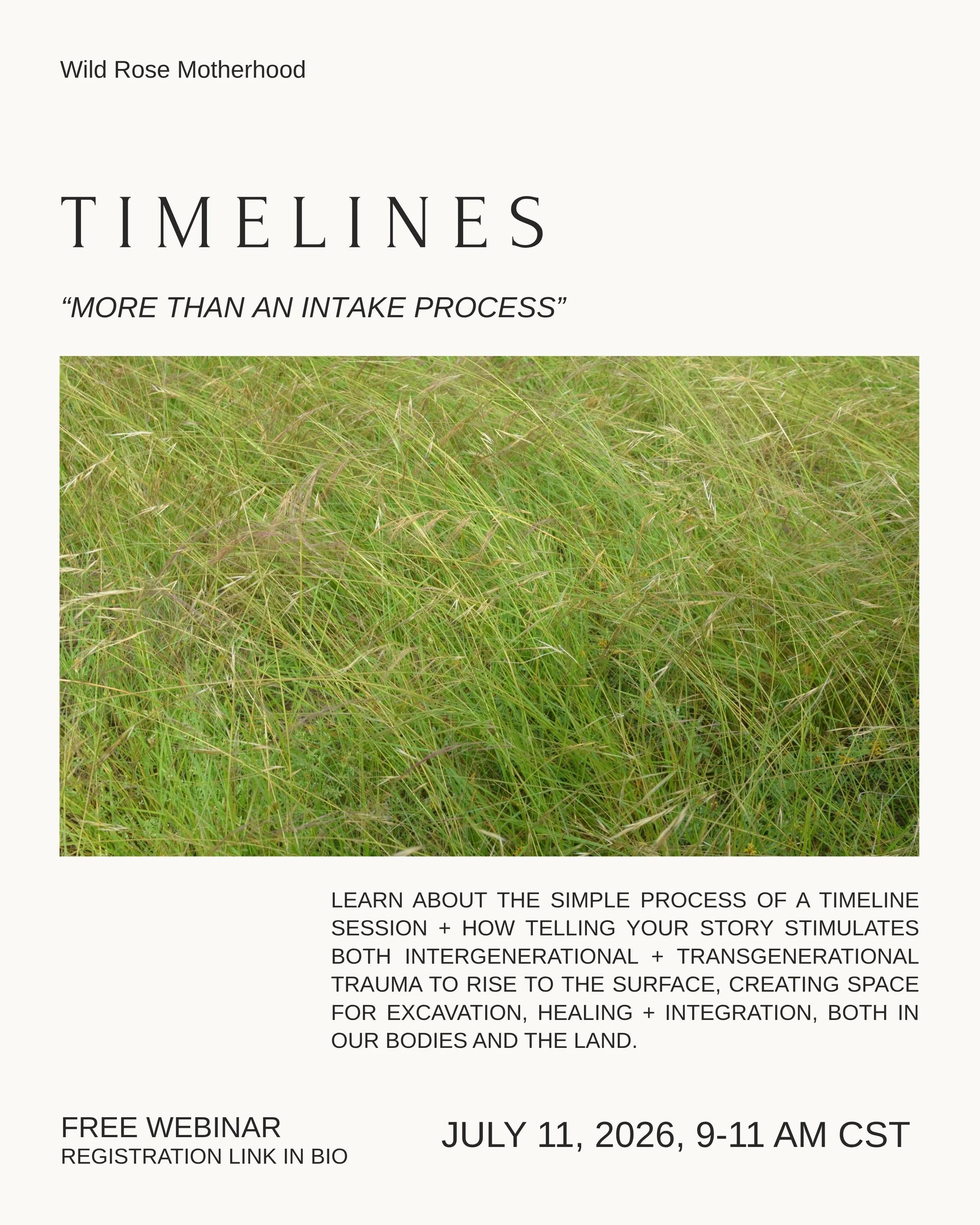 TIMELINES webinar