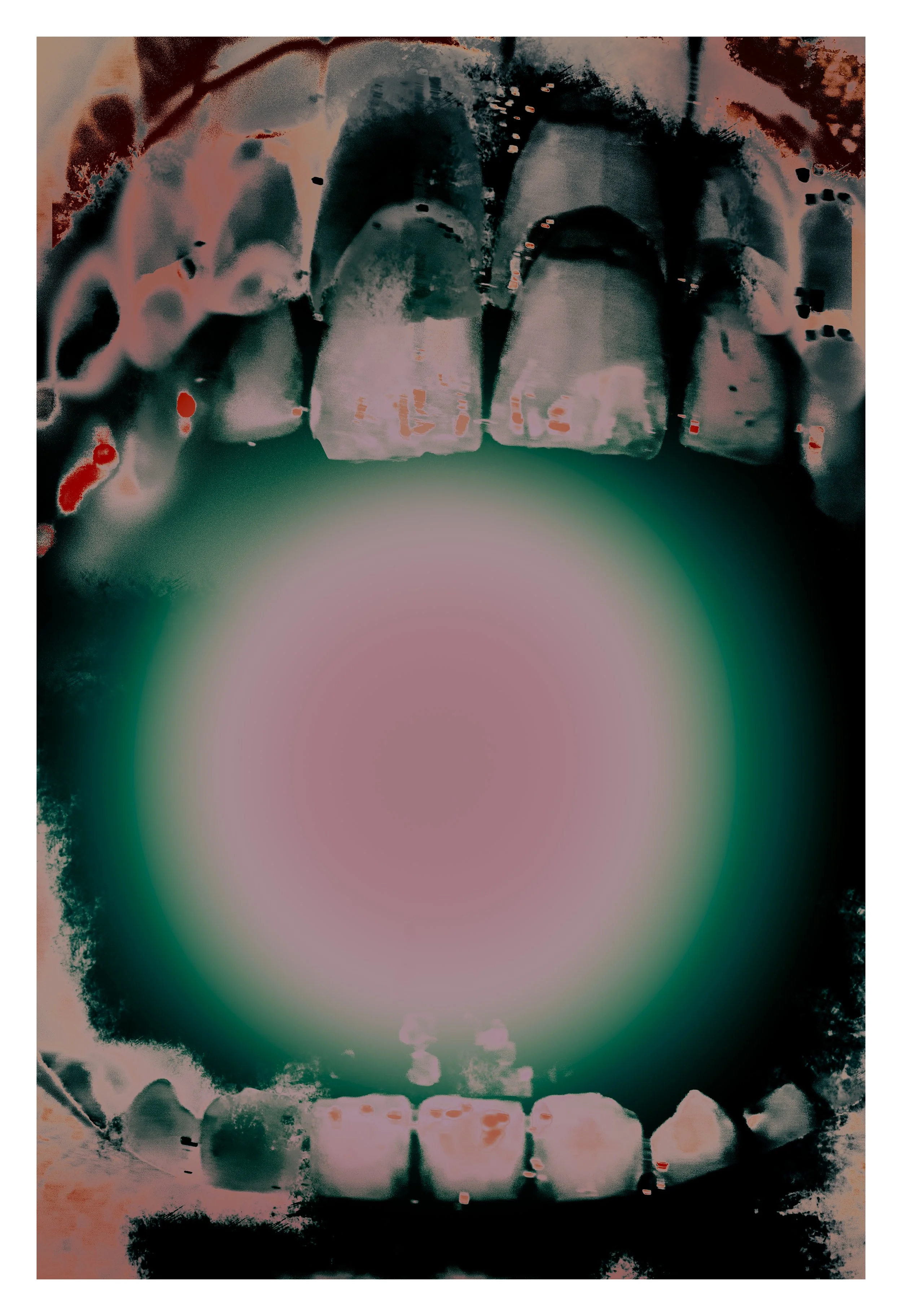 _MG_9539-Edit-Recovered copy.jpg