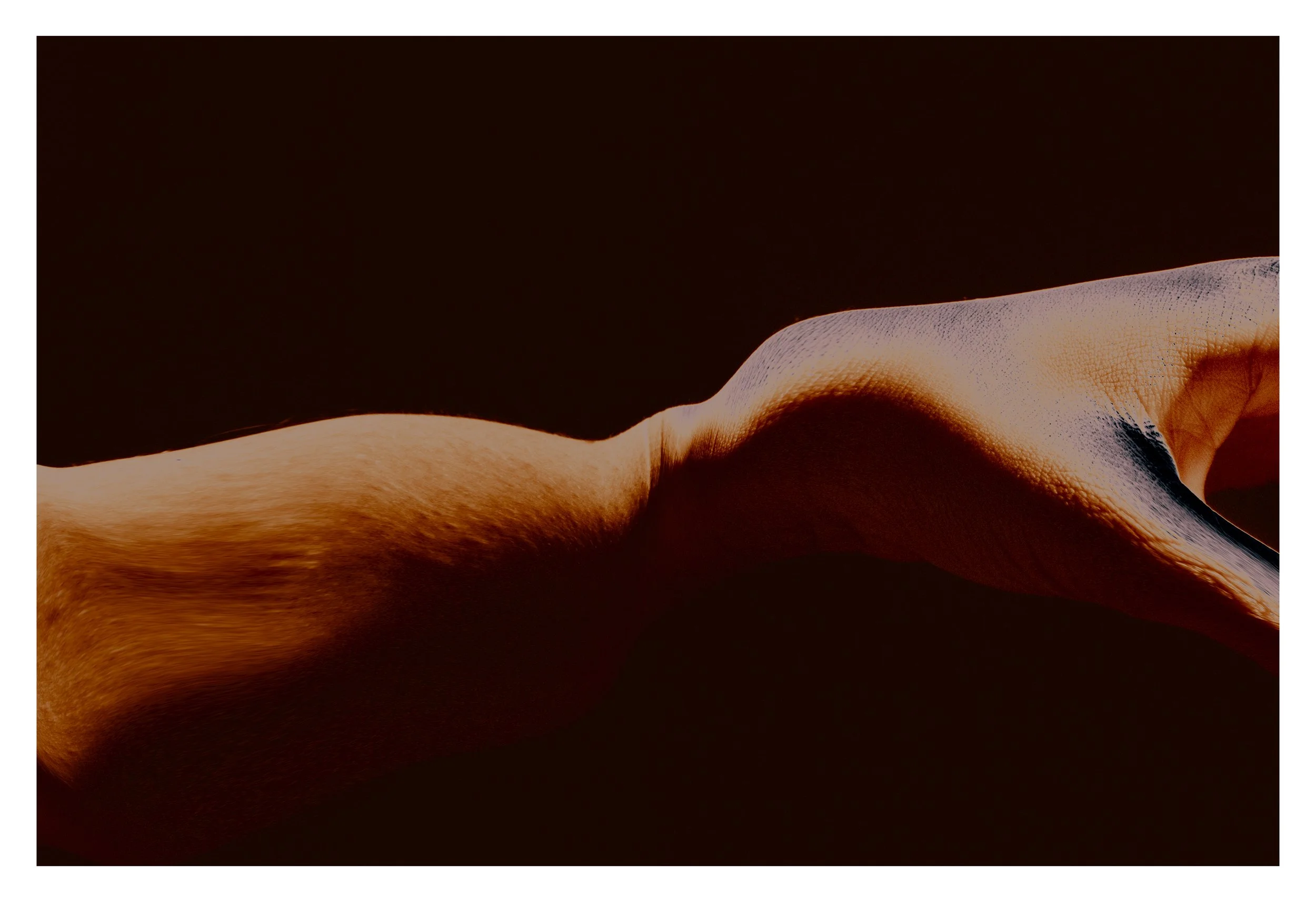 _MG_9406-Edit copy 2.jpg