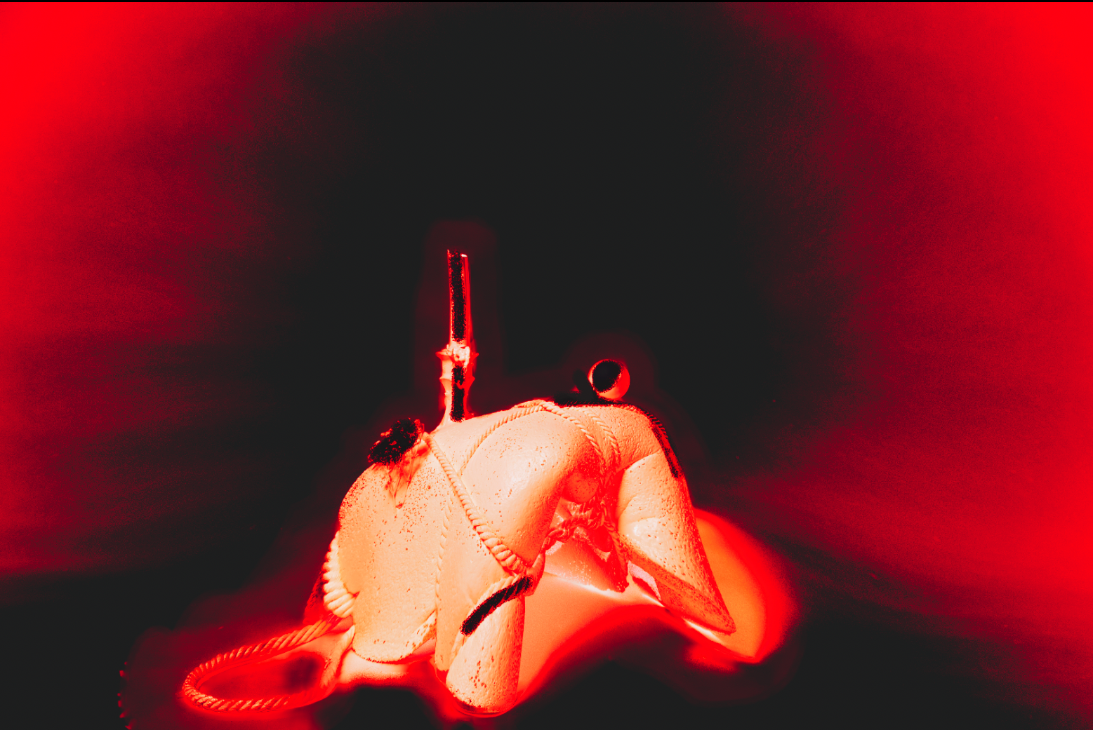 Screen Shot 2022-03-20 at 1.06.23 PM.png